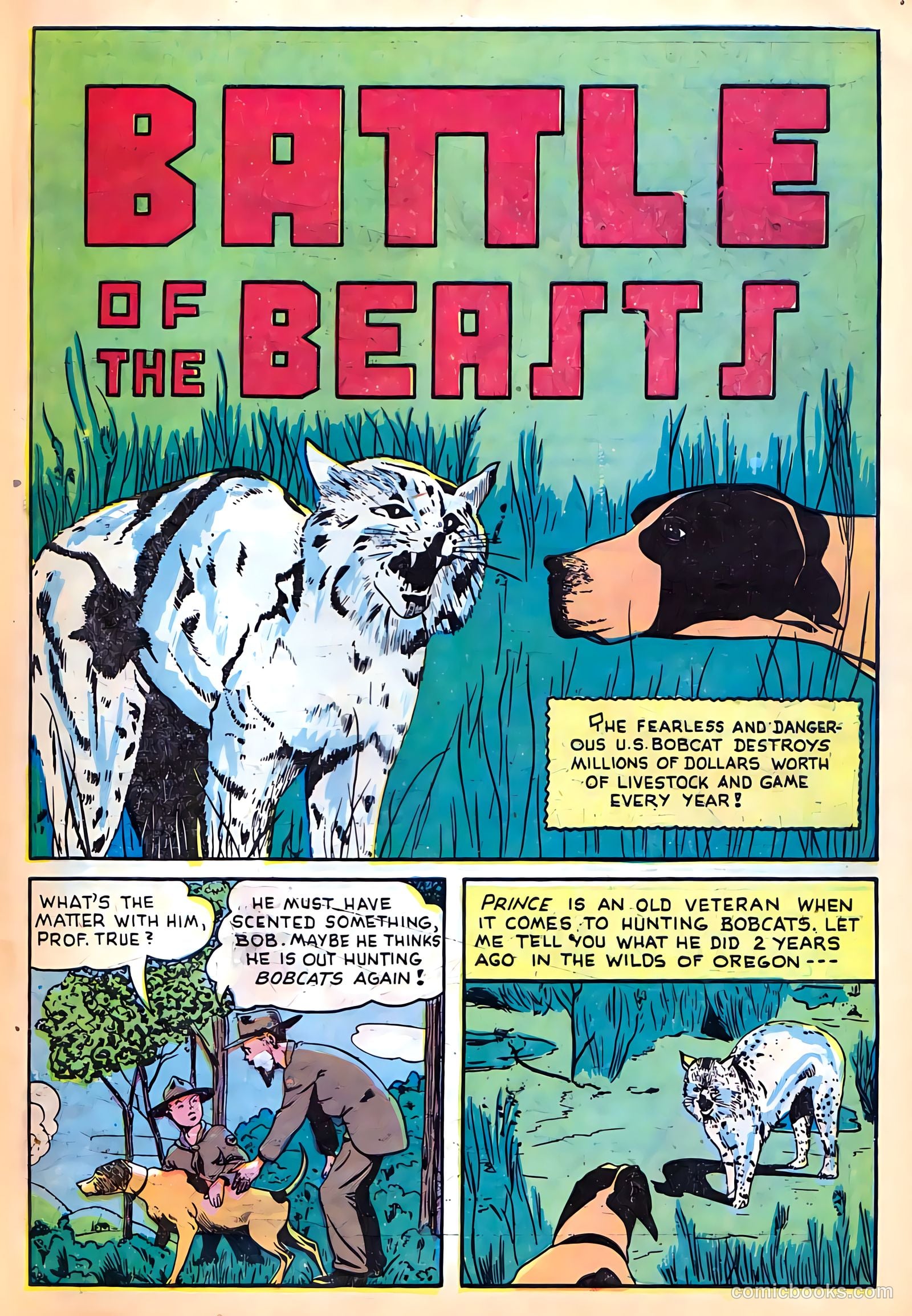 Sparkling Stars #28 (1947) — page 53 of 68