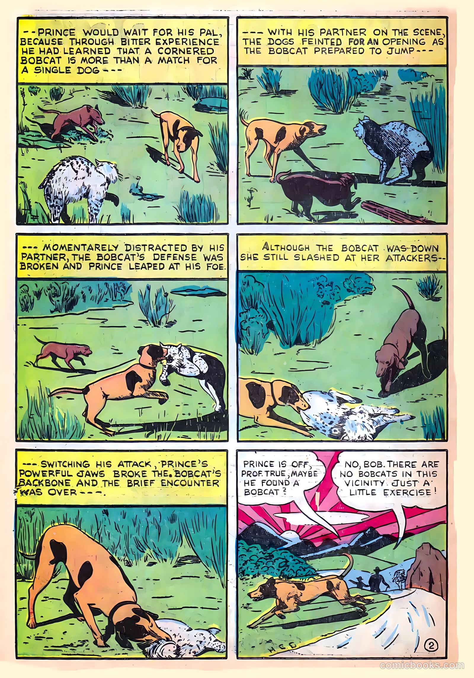 Sparkling Stars #28 (1947) — page 54 of 68