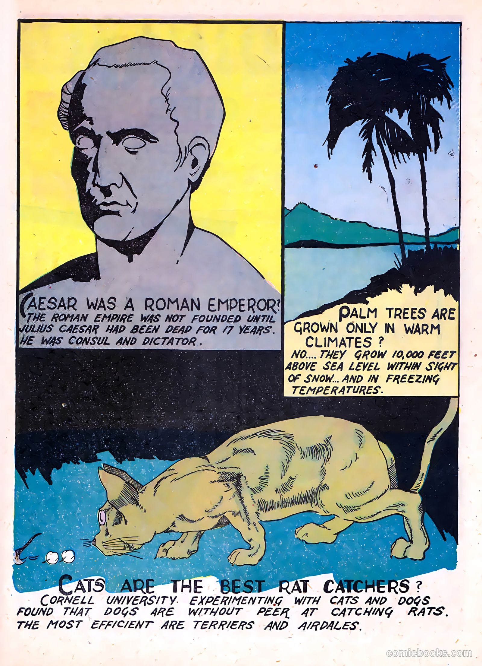 Sparkling Stars #3 (1944) — page 47 of 68