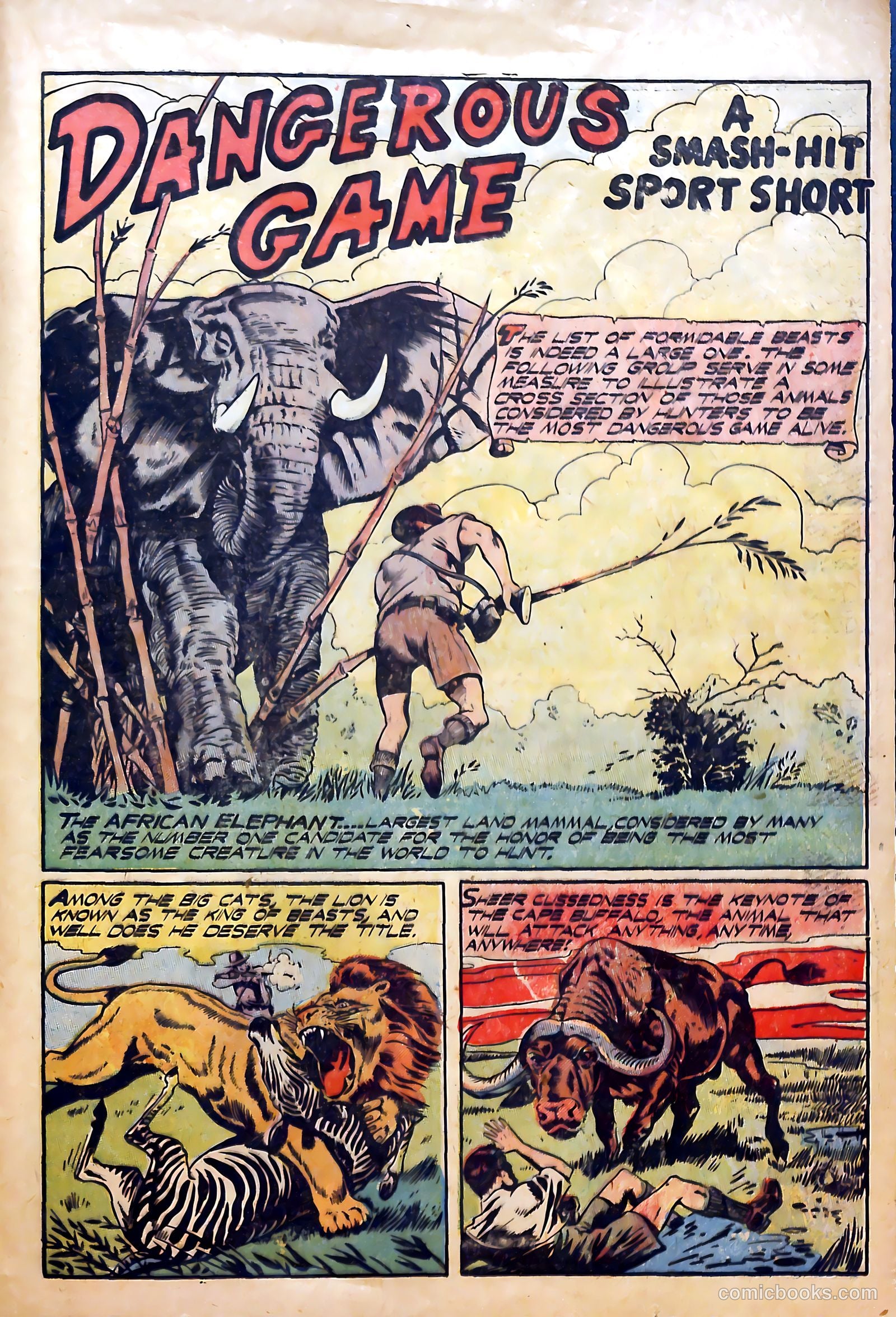 Sport Thrills #13 (1951) — page 25 of 36