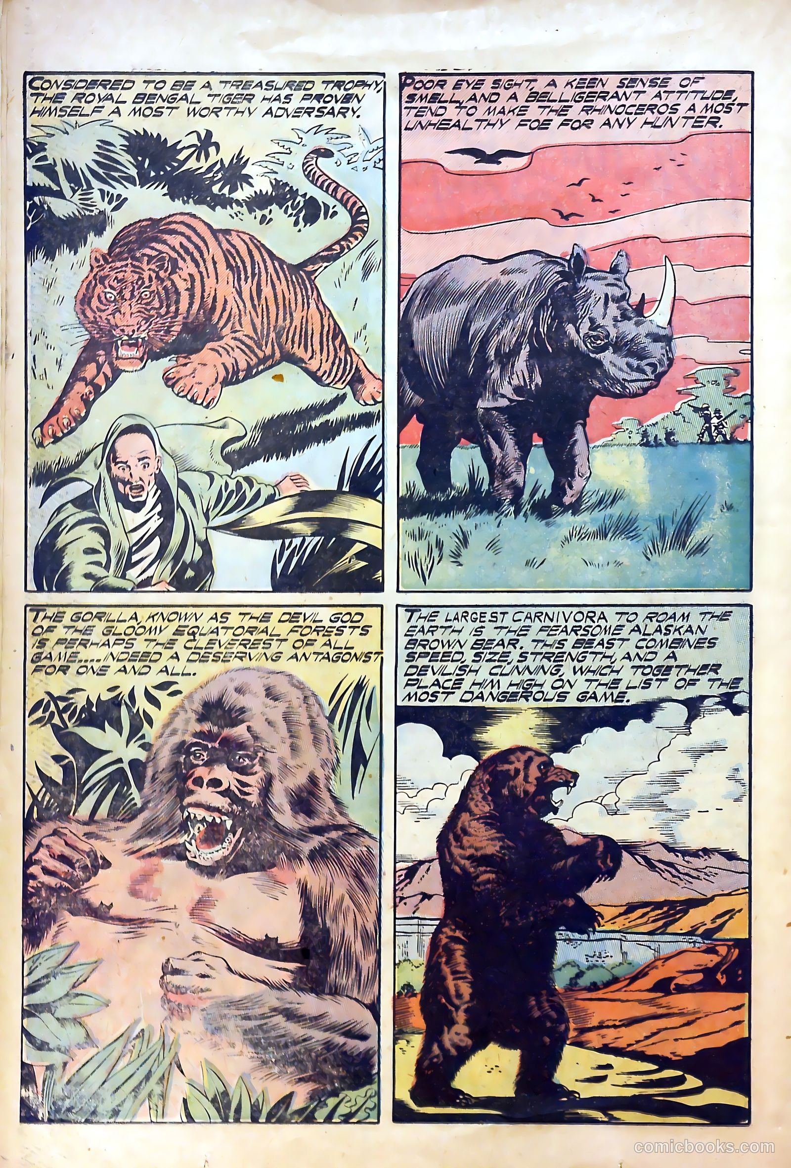Sport Thrills #13 (1951) — page 26 of 36