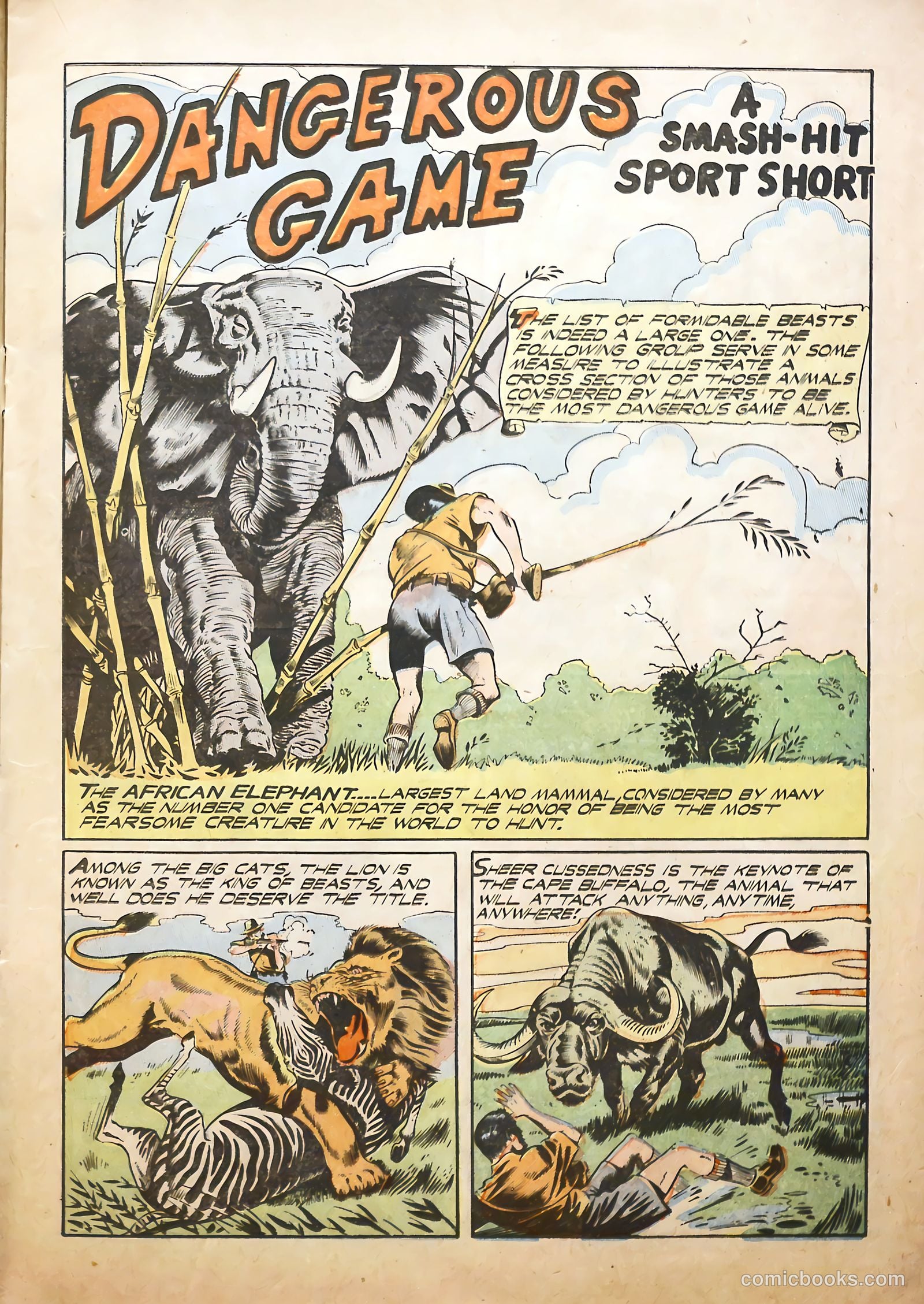 Sports Comics #1 (1992) — page 15 of 36