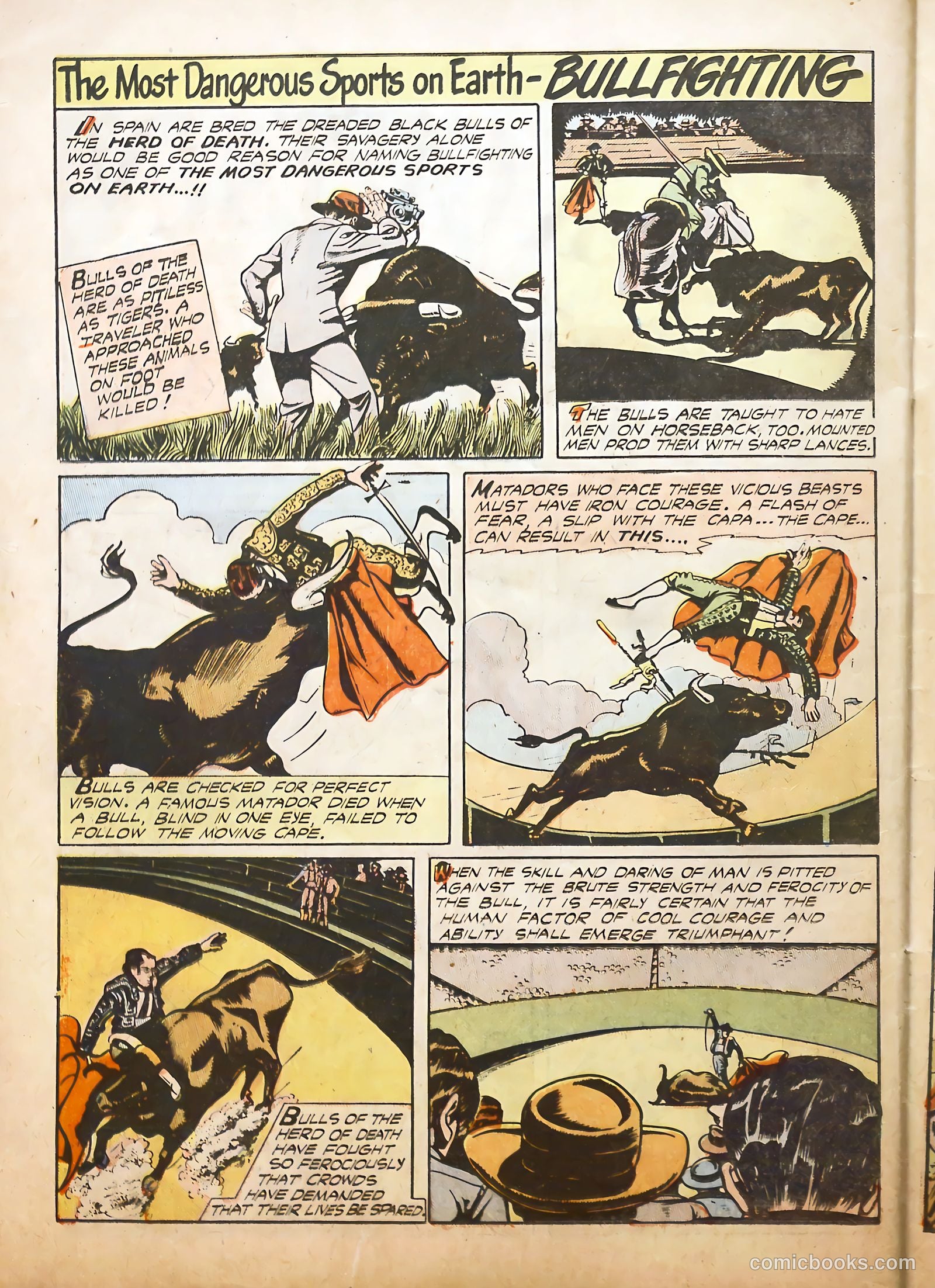 Sports Comics #1 (1992) — page 26 of 36