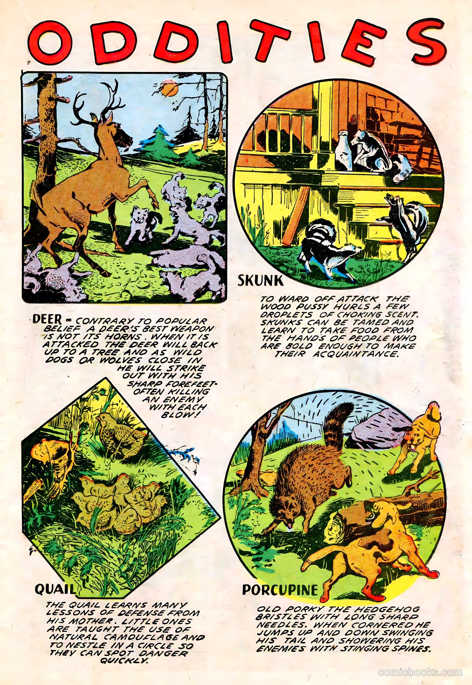 Spotlight Comics #1 (1944) — page 35 of 52
