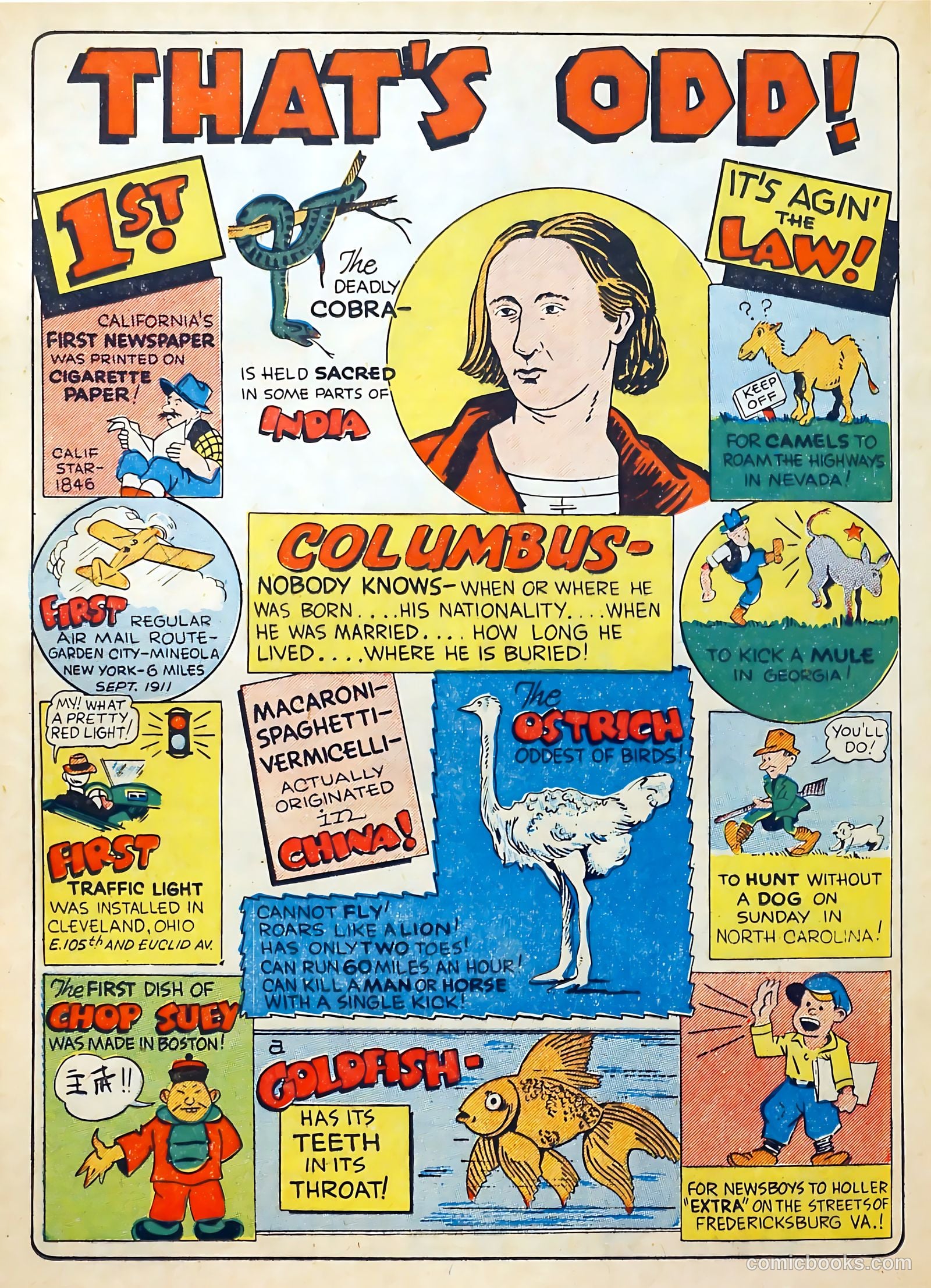 Spotlight Comics #2 (1945) — page 28 of 50