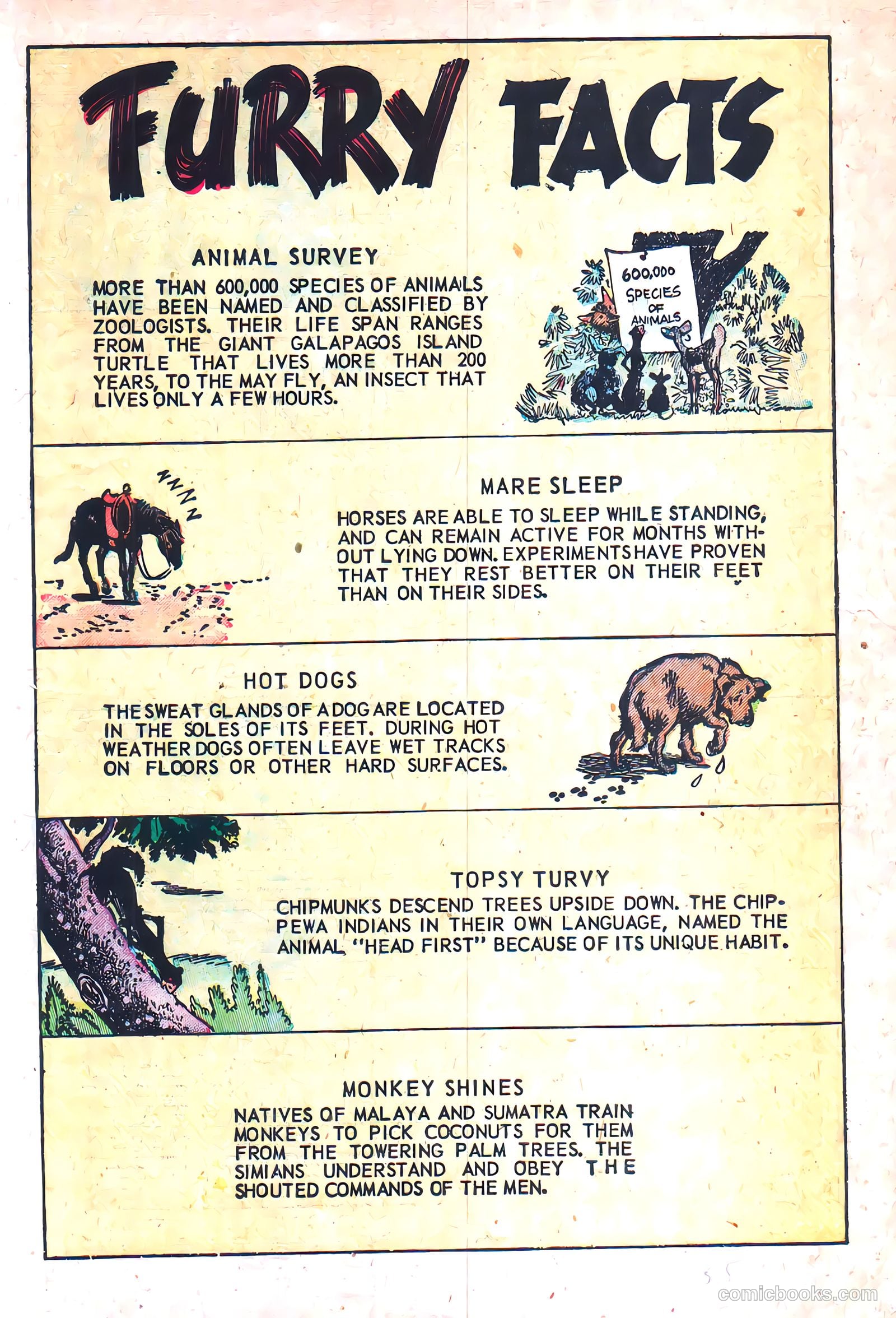 Squeeks #3 (1954) — page 19 of 36