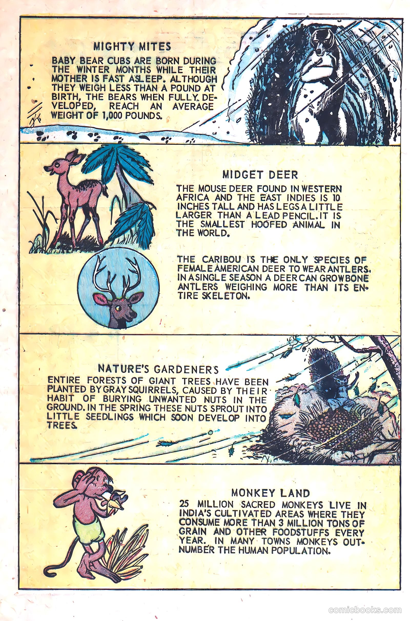 Squeeks #3 (1954) — page 20 of 36
