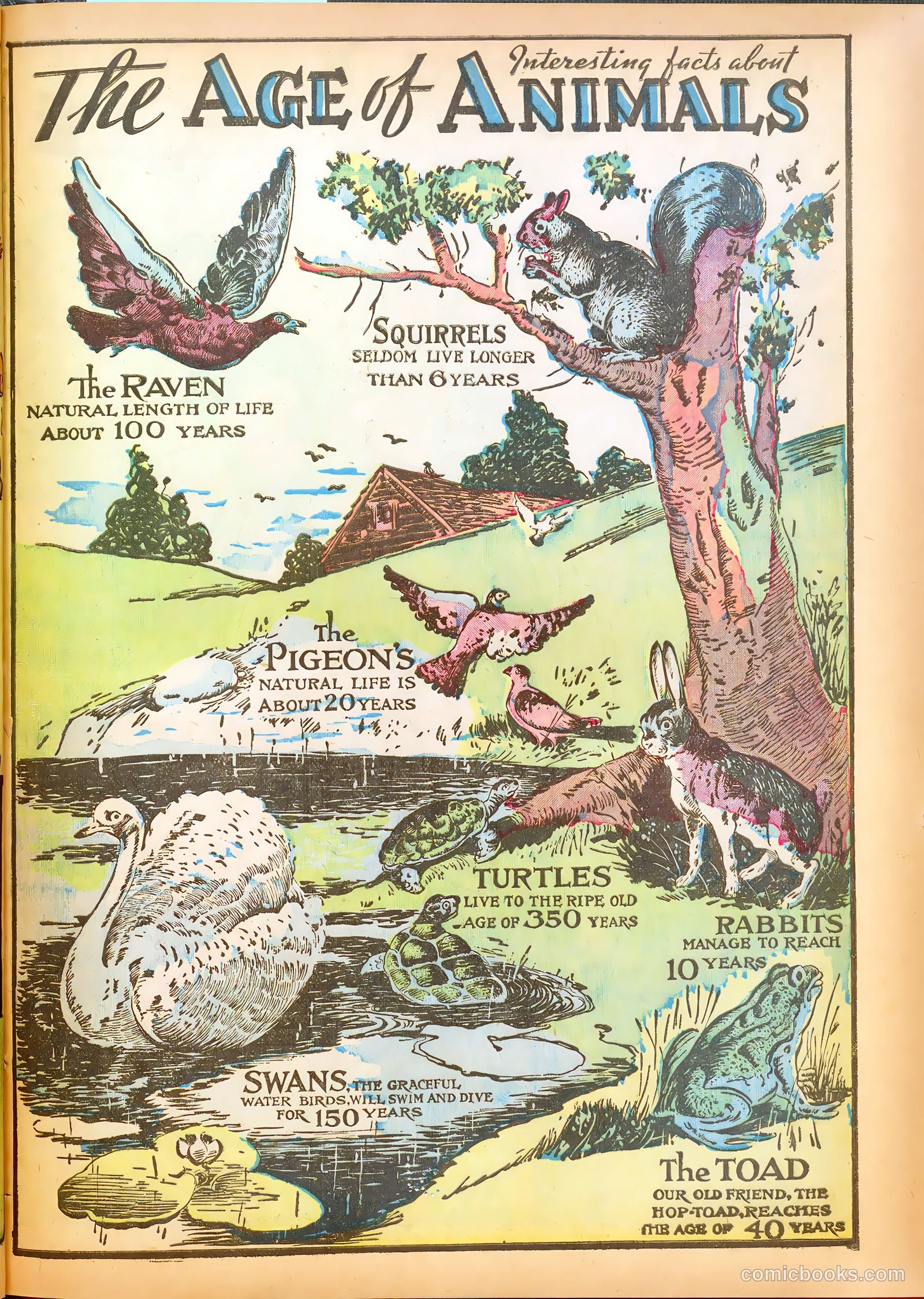Star Comics #1 (1937) — page 13 of 67