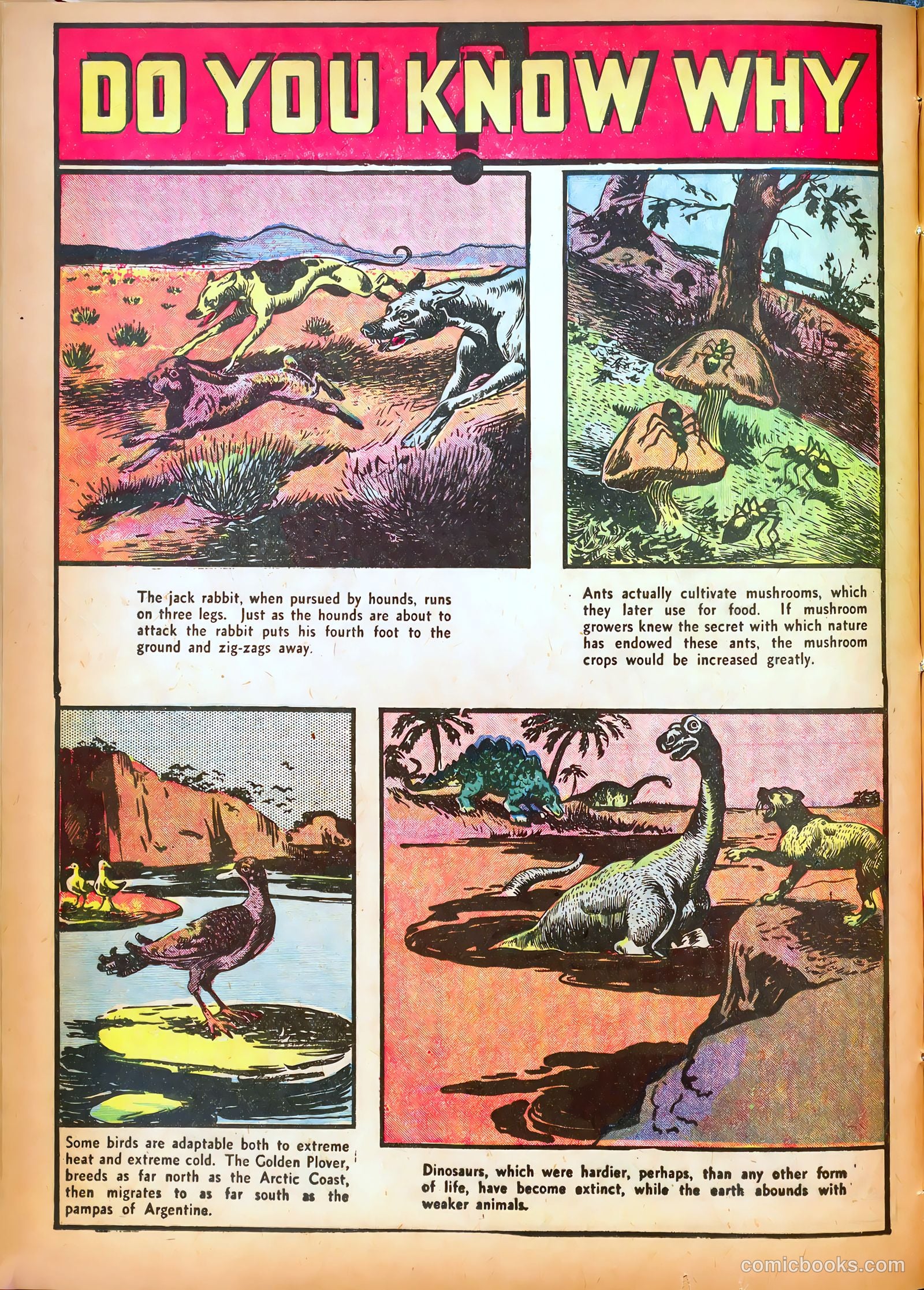 Star Comics #2 (1937) — page 63 of 68