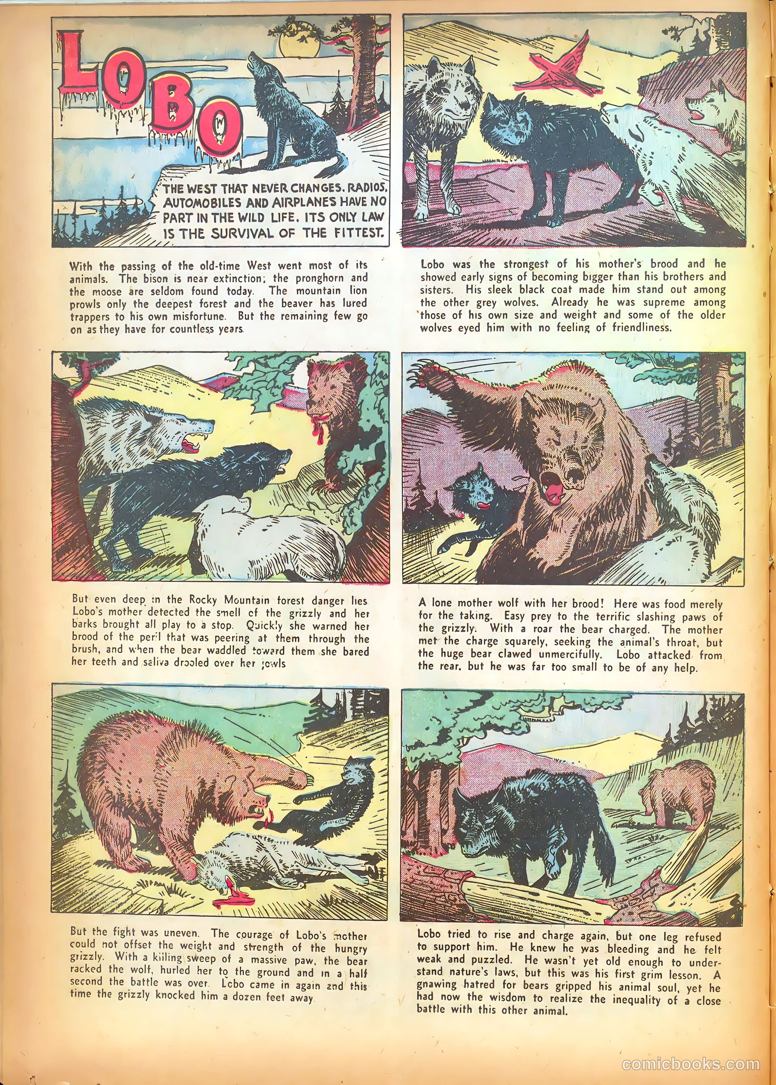 Star Ranger #1 (1937) — page 20 of 67