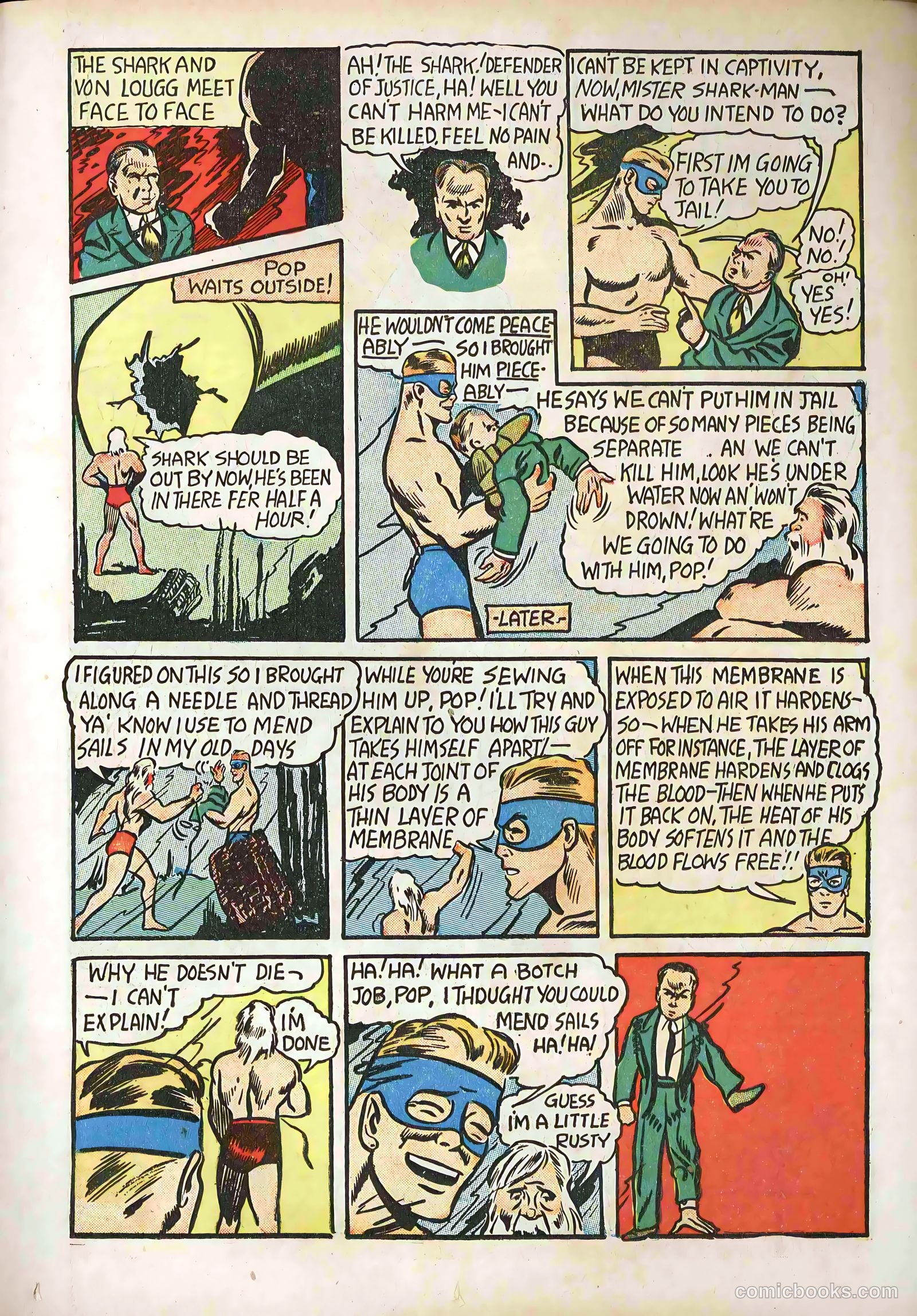 Stars and Stripes Comics #2 (1941) — page 29 of 68