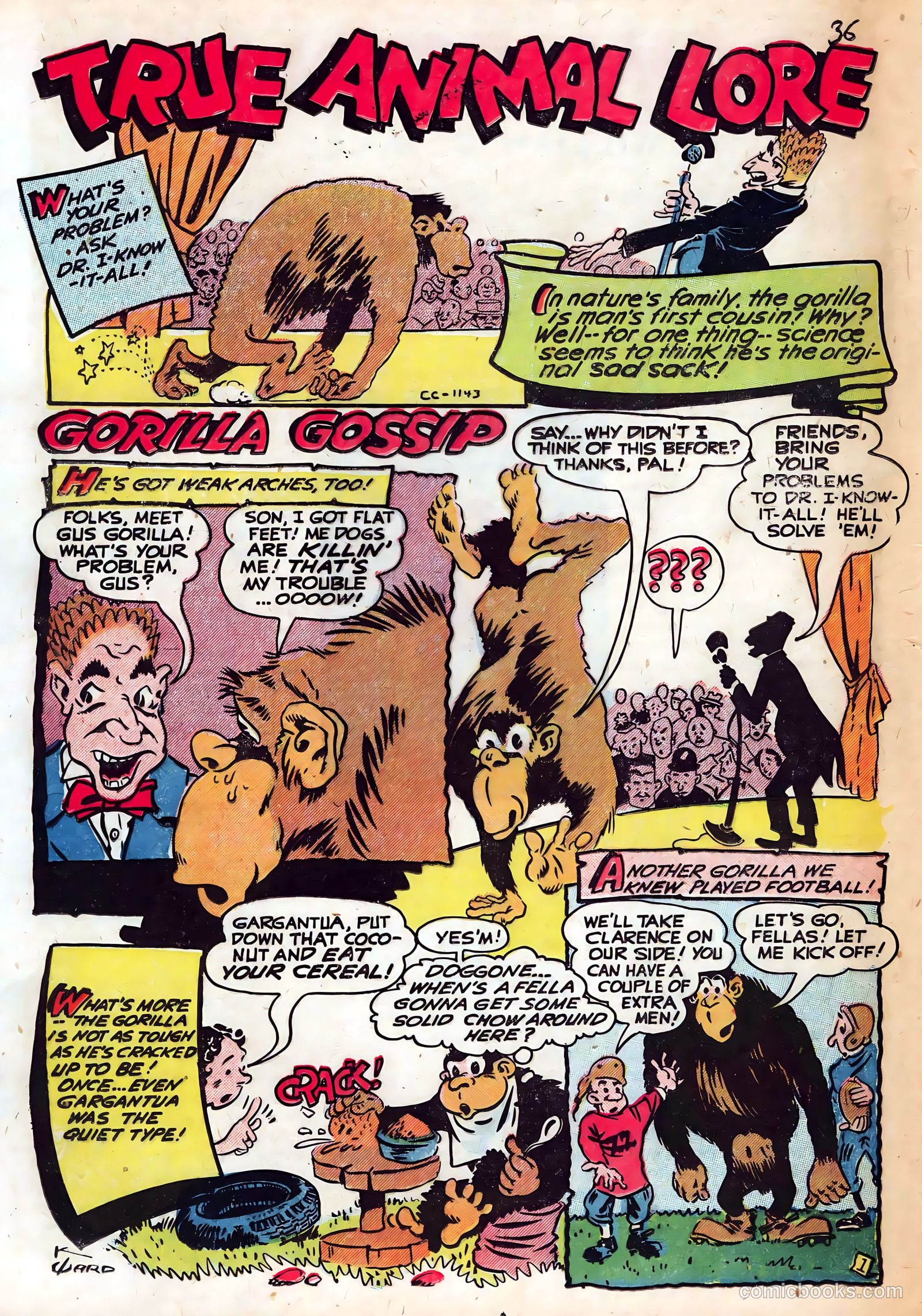 Startling Comics #45 (1947) — page 37 of 51