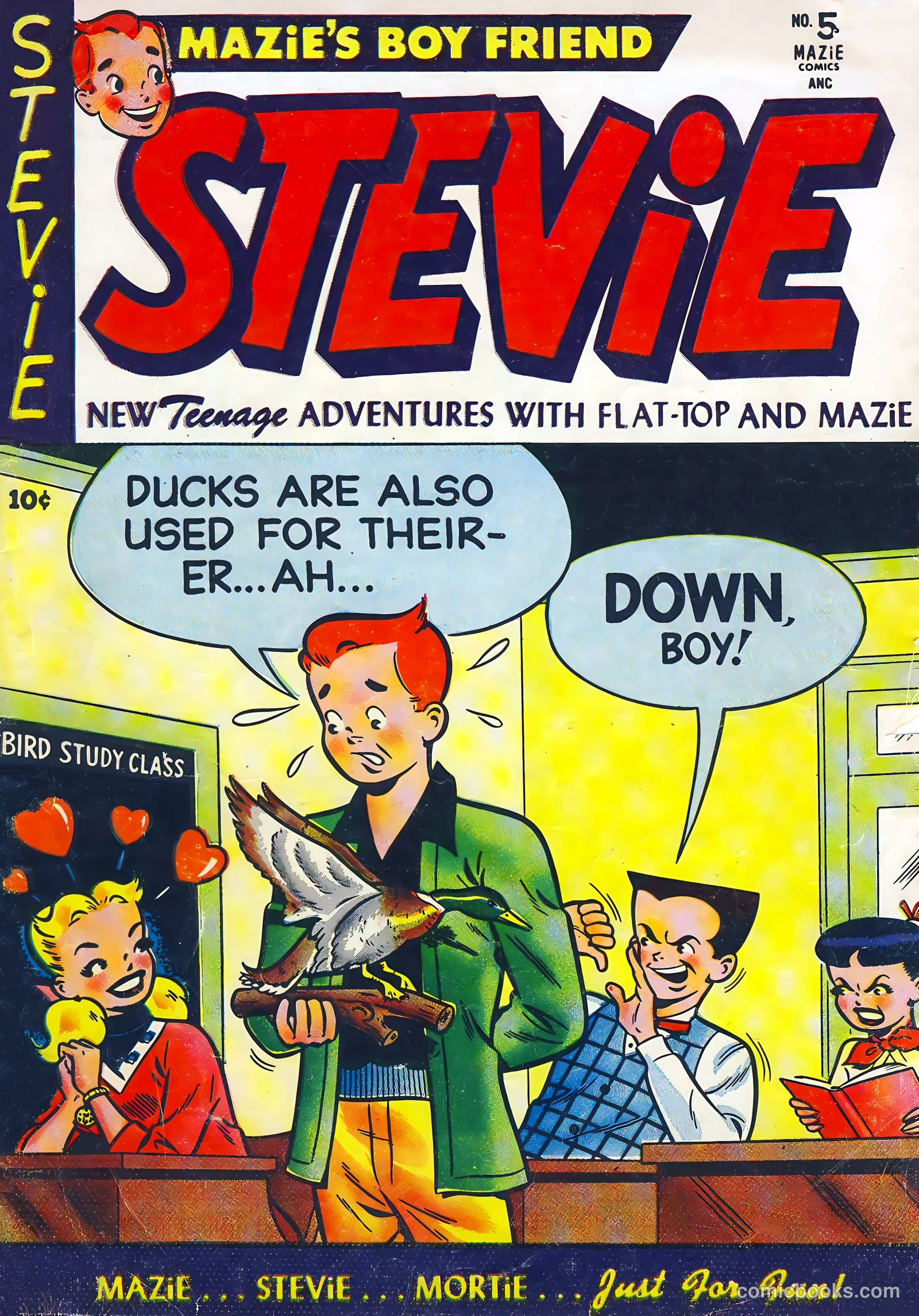 Stevie #5