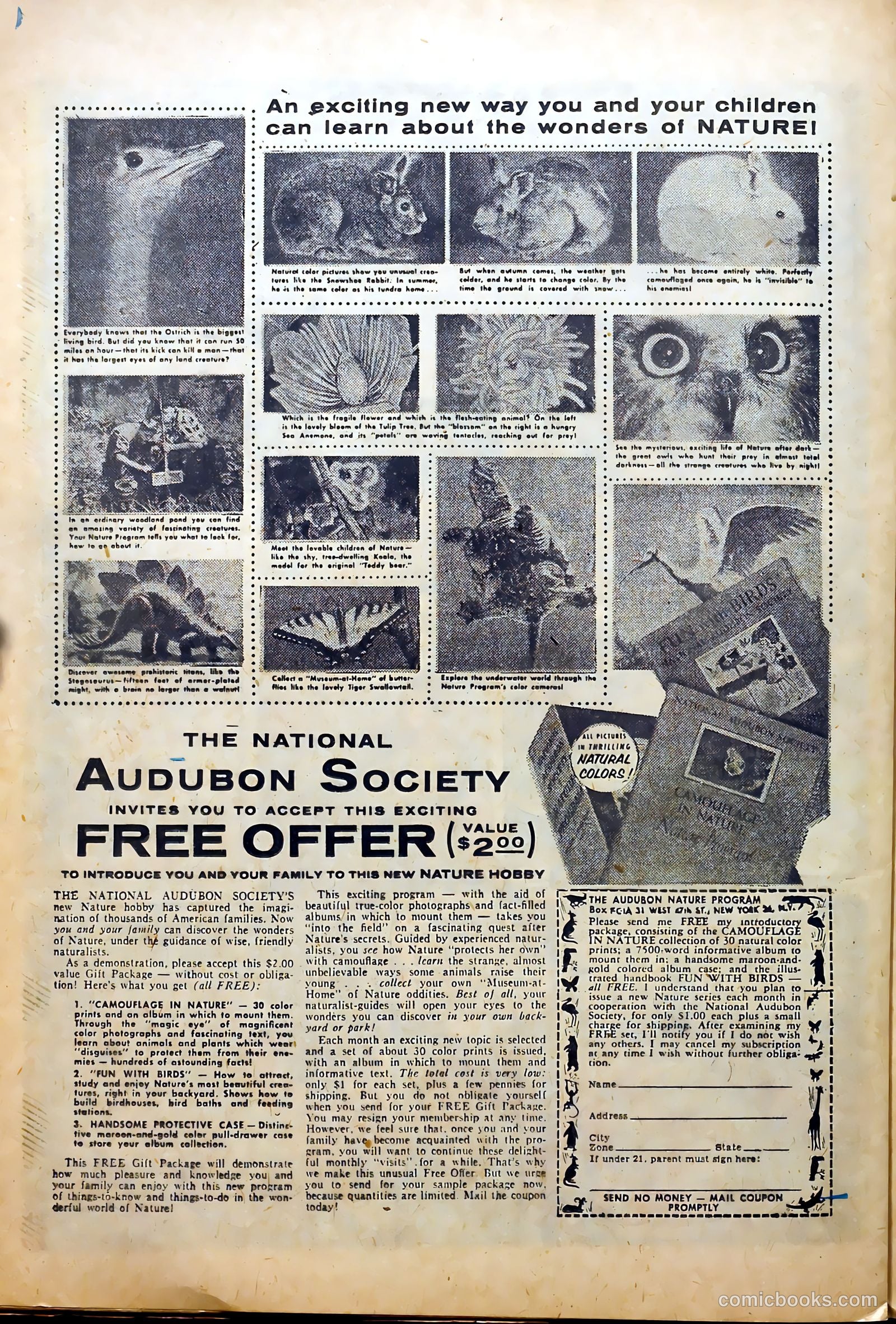 Strange Journey #3 (1958) — page 24 of 36