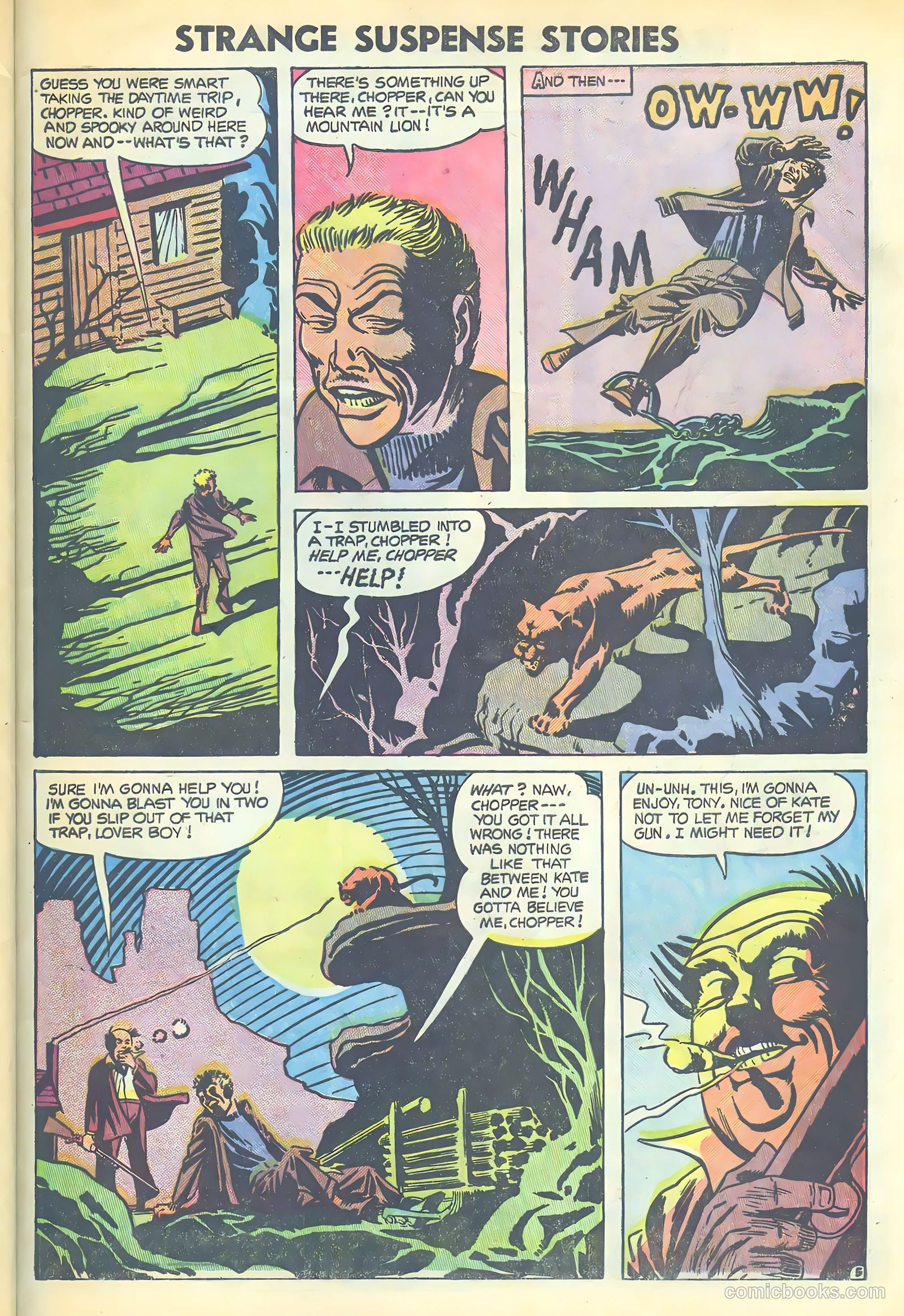 Strange Suspense Stories #19 (1954) — page 29 of 36