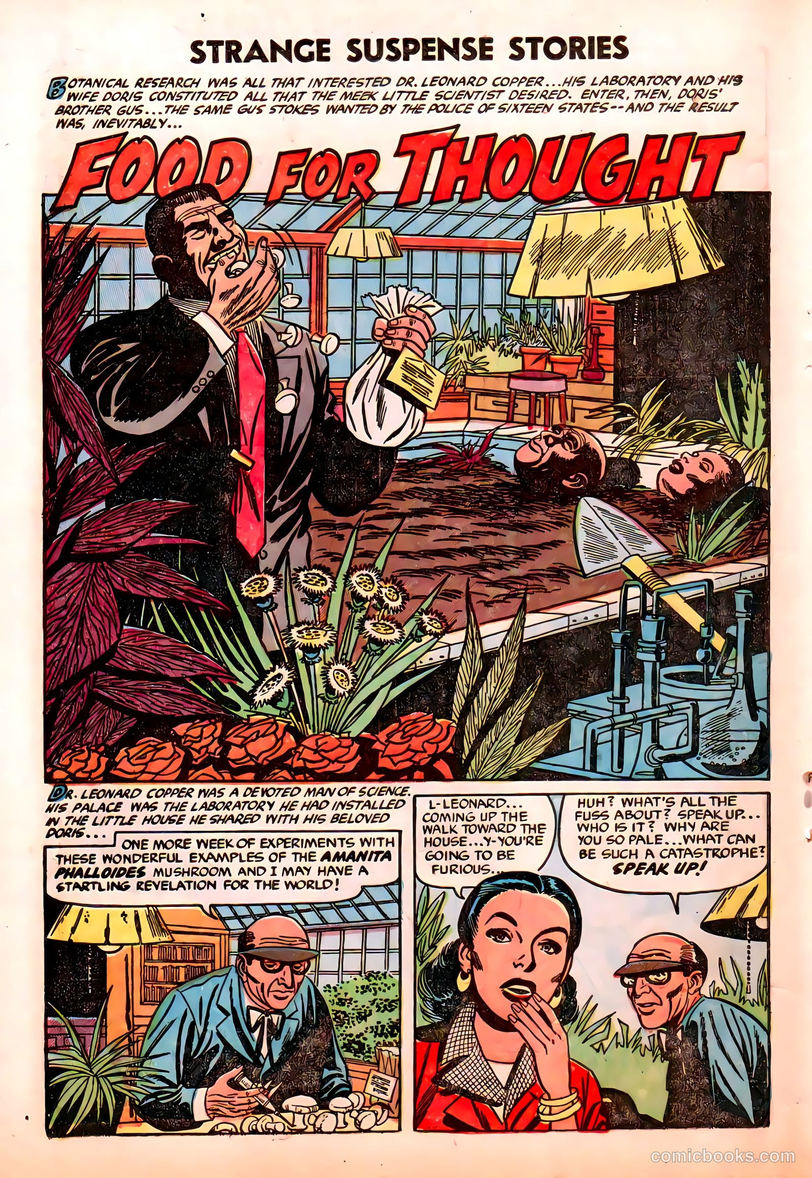 Strange Suspense Stories #20 (1954) — page 10 of 36