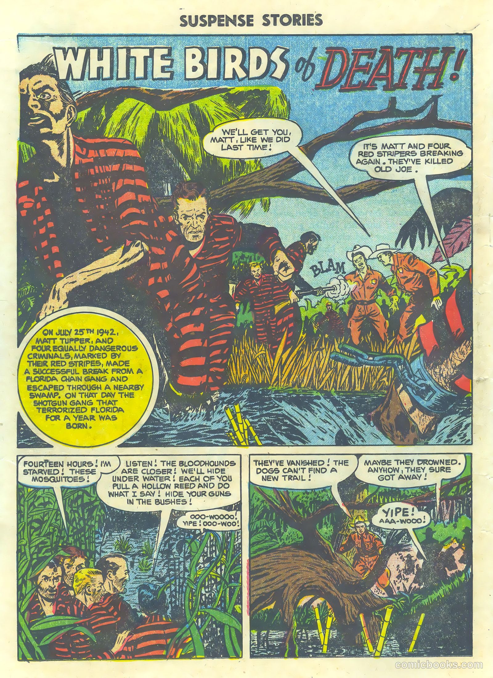 Strange Suspense Stories #22 (1954) — page 18 of 36