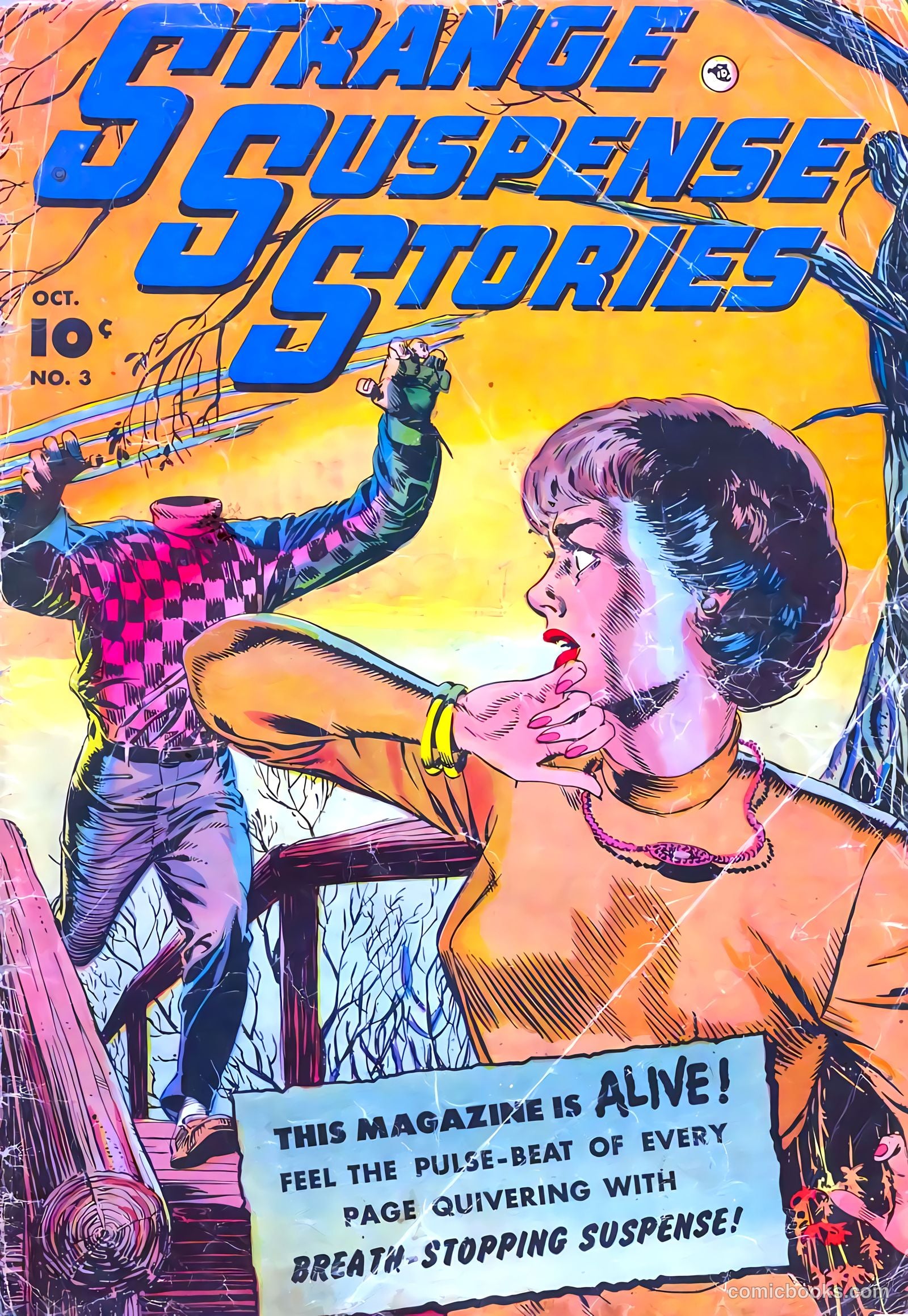 Strange Suspense Stories #3