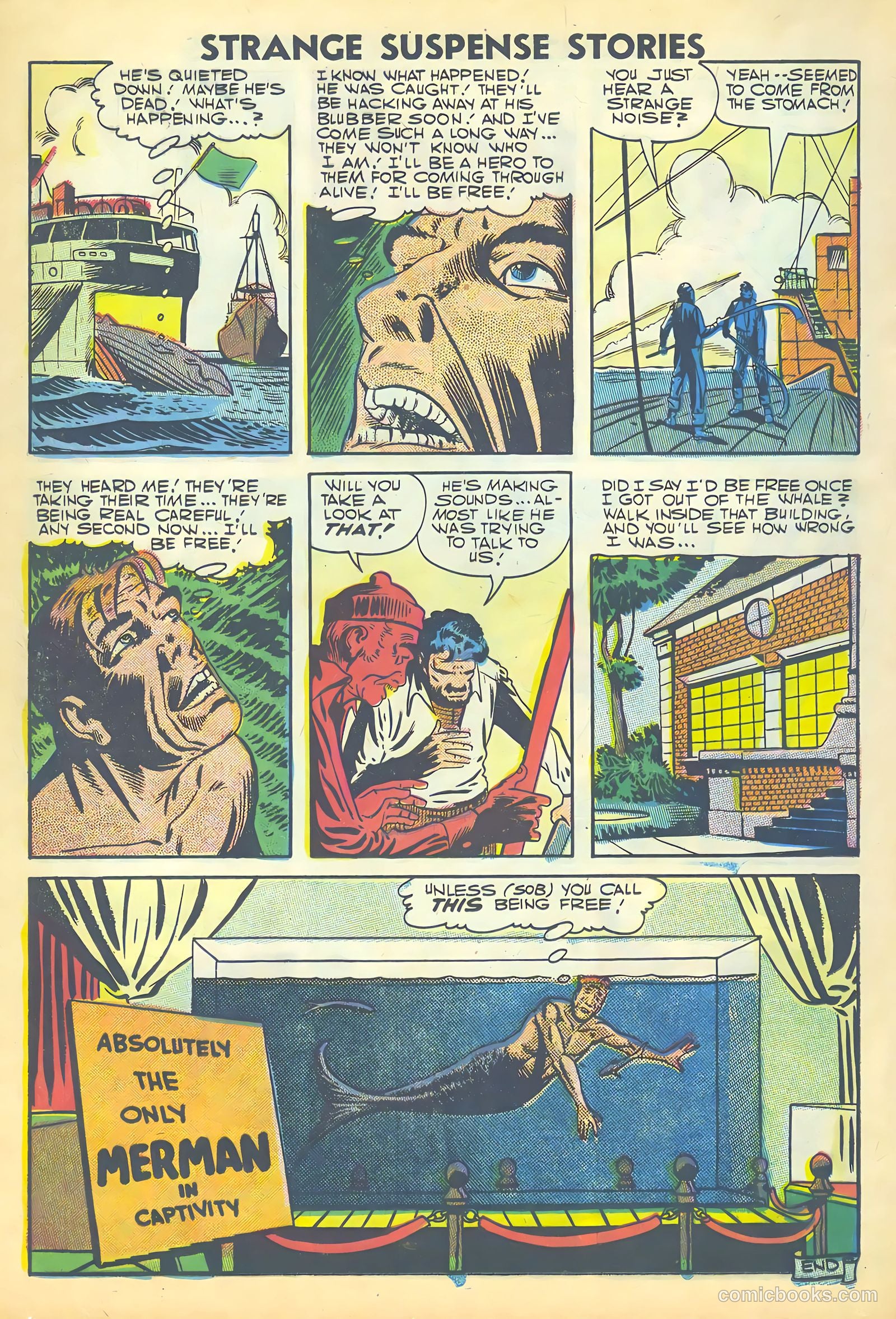 Strange Suspense Stories #35 (1957) — page 20 of 36