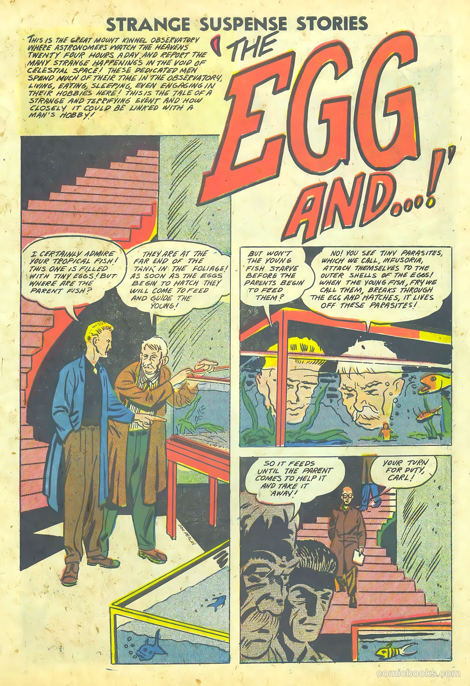 Strange Suspense Stories #36 (1958) — page 11 of 68