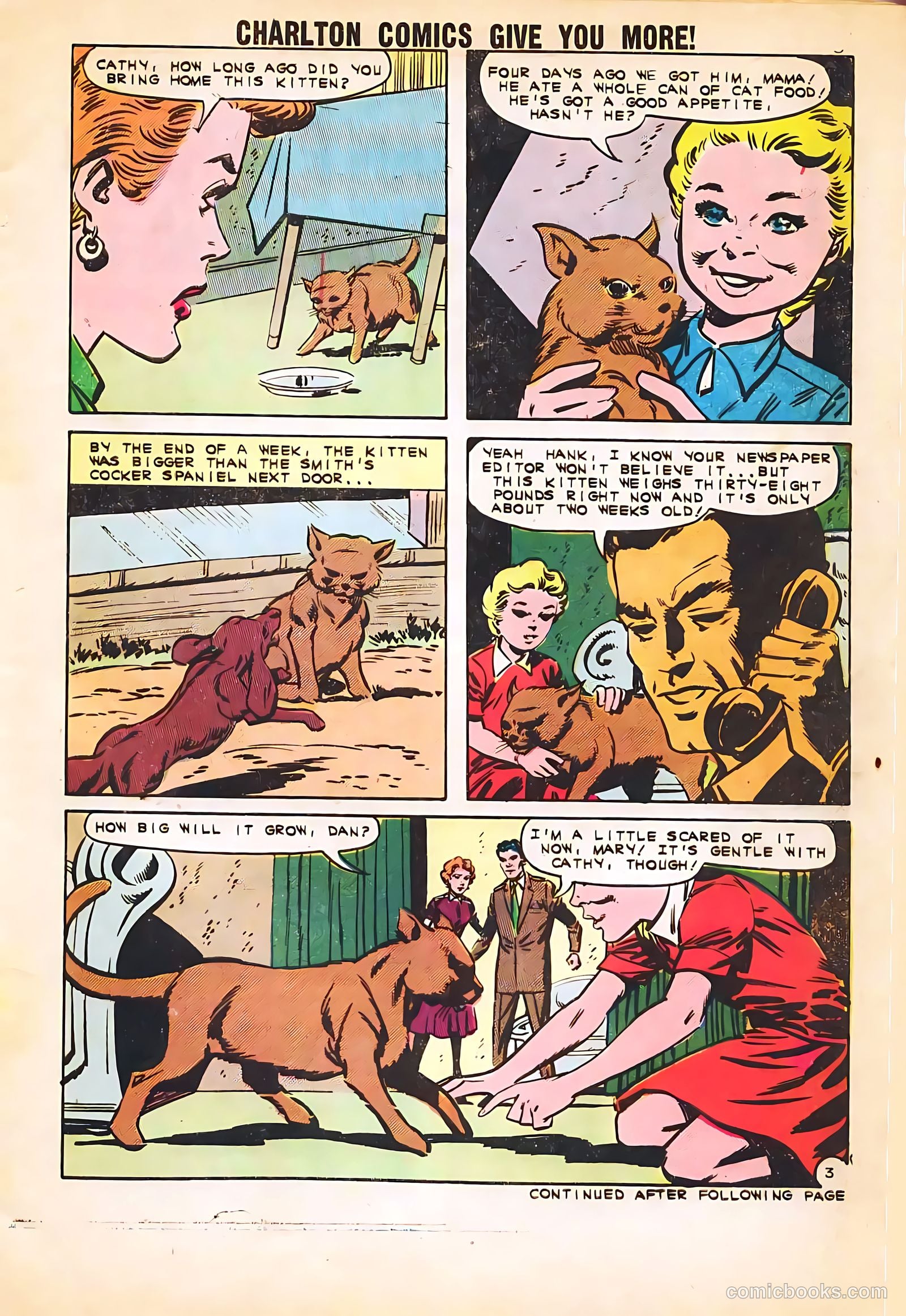 Strange Suspense Stories #58 (1982) — page 5 of 36