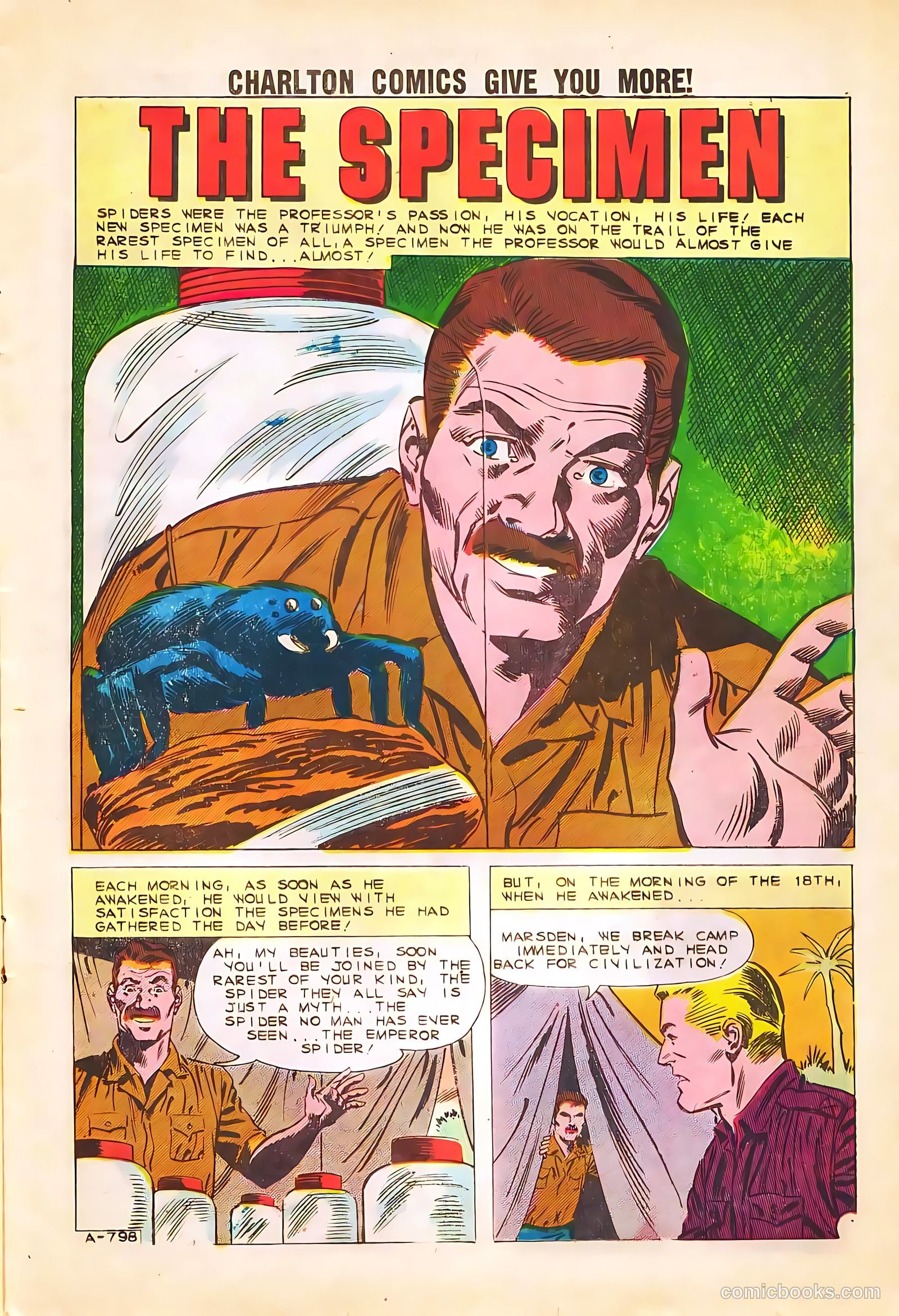 Strange Suspense Stories #58 (1982) — page 11 of 36
