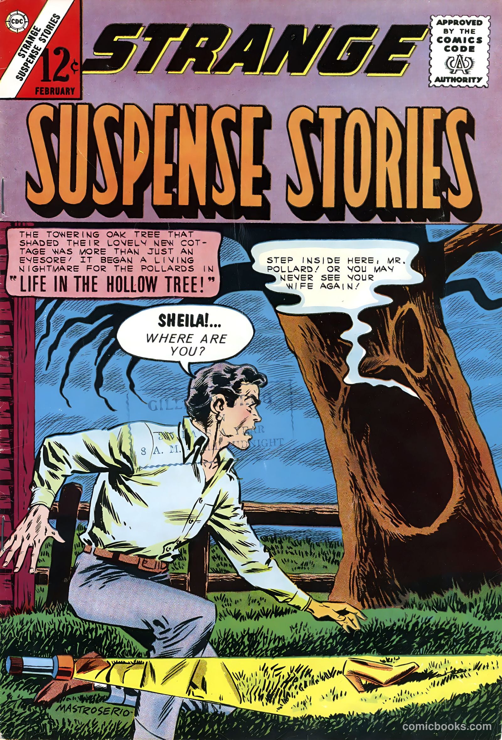 Strange Suspense Stories #63