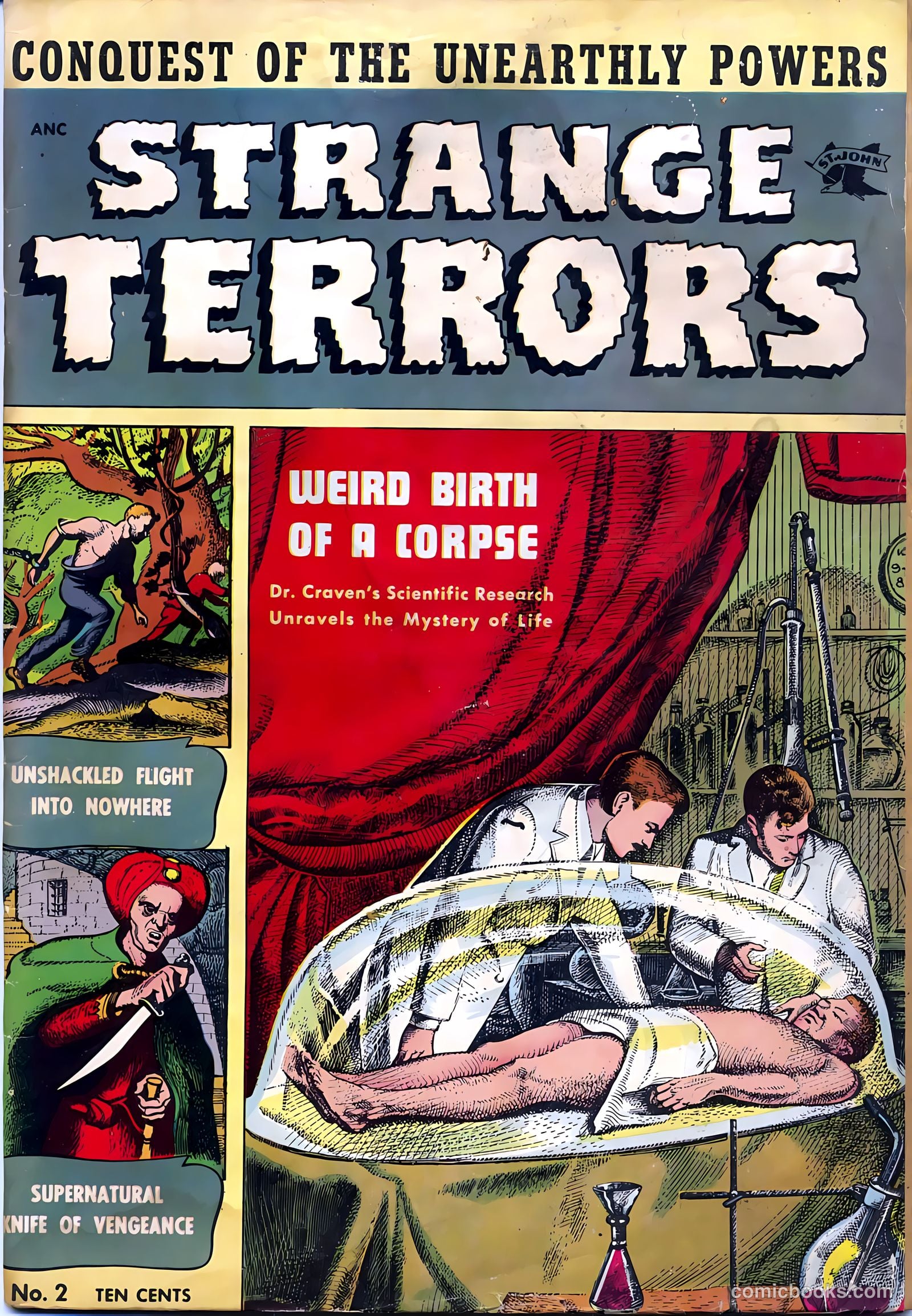 Strange Terrors #2