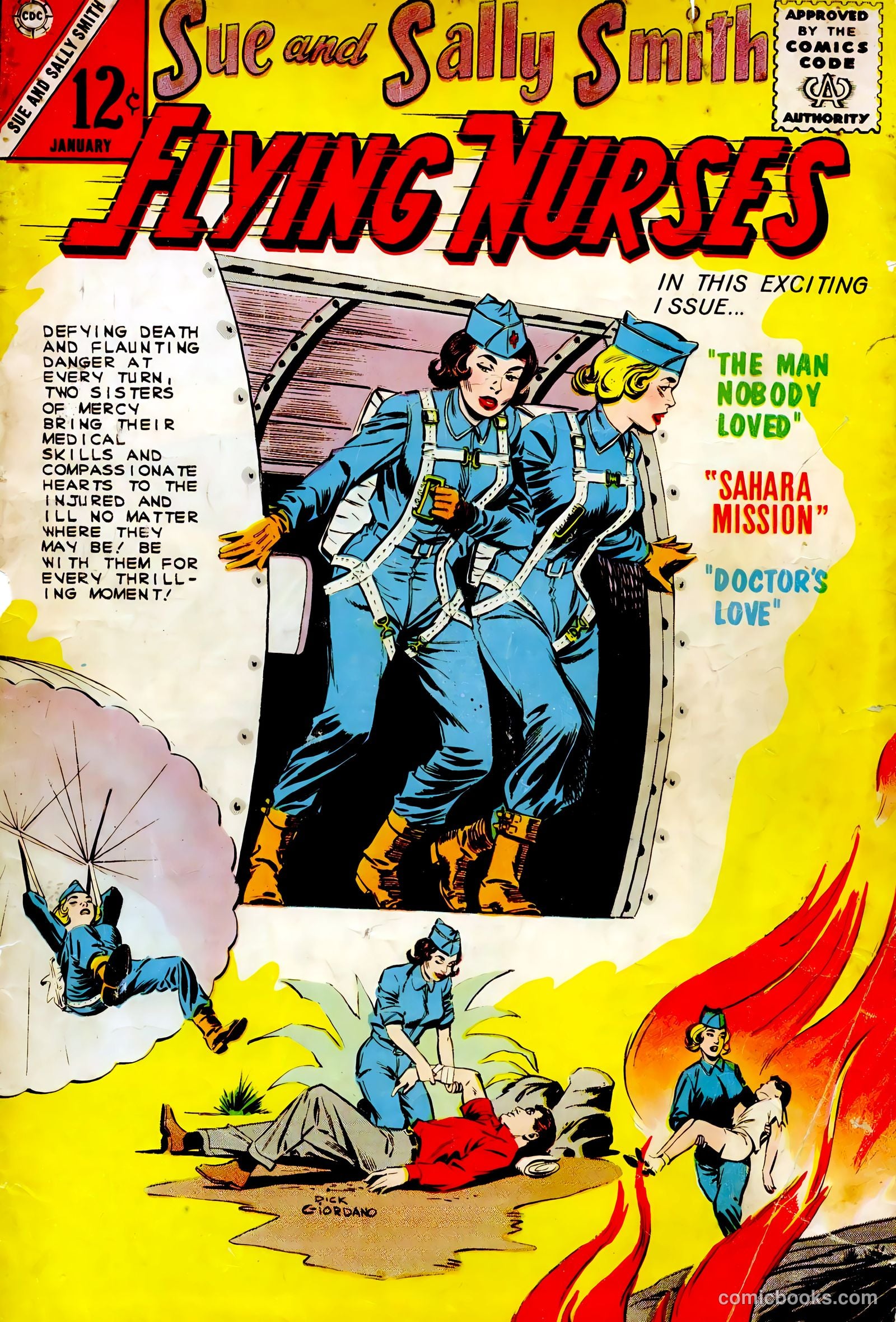 Sue and Sally Smith, Flying Nurses #49