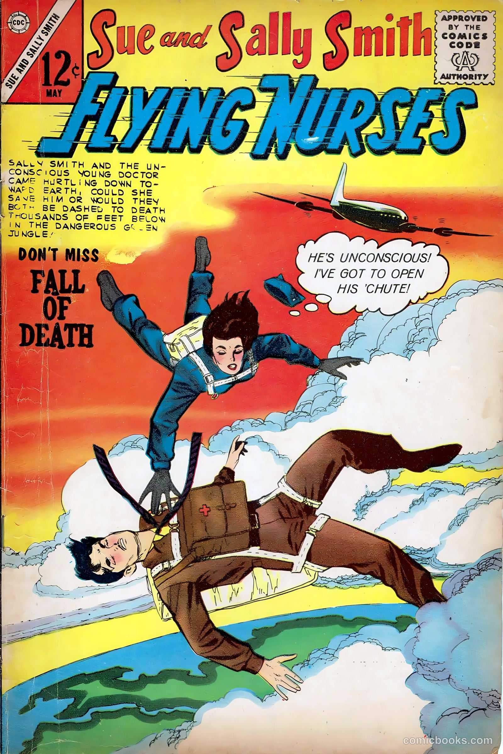 Sue and Sally Smith, Flying Nurses #51