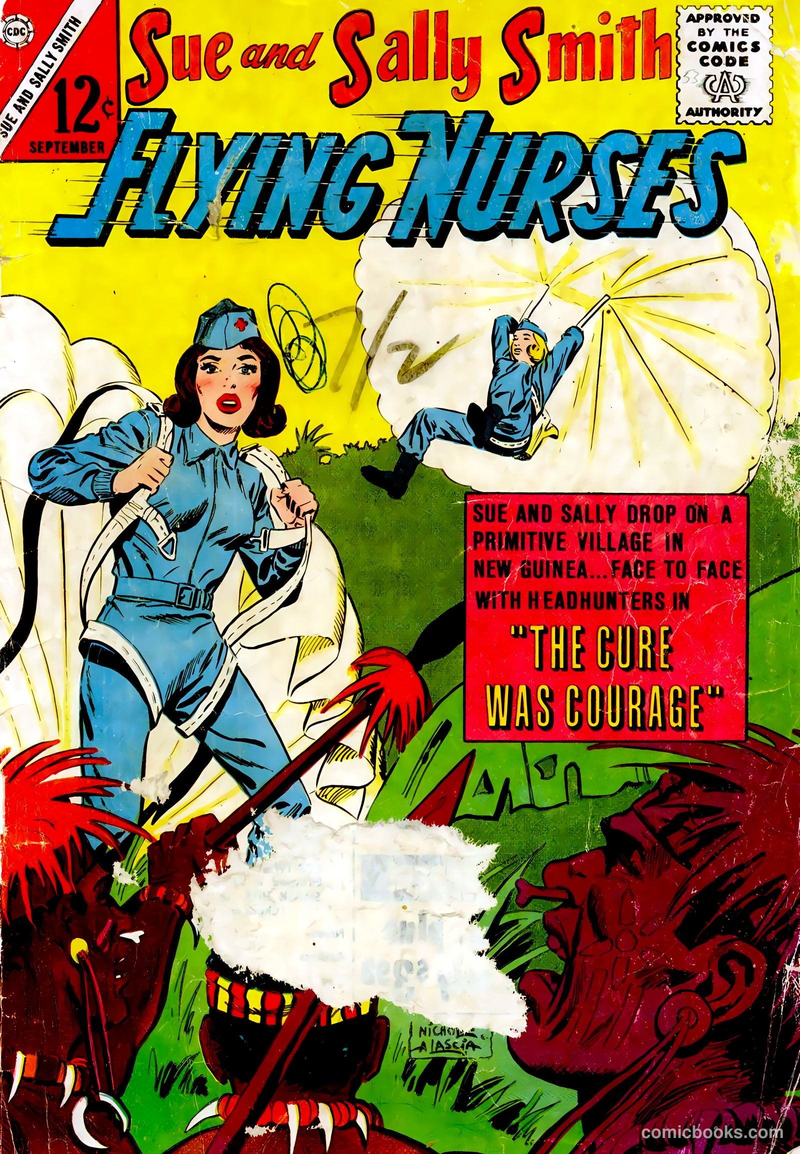 Sue and Sally Smith, Flying Nurses #53