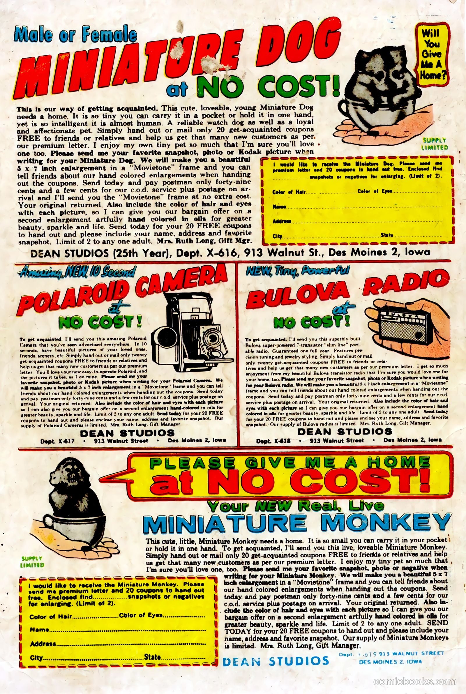 Sue and Sally Smith, Flying Nurses #53 (1963) — page 37 of 37