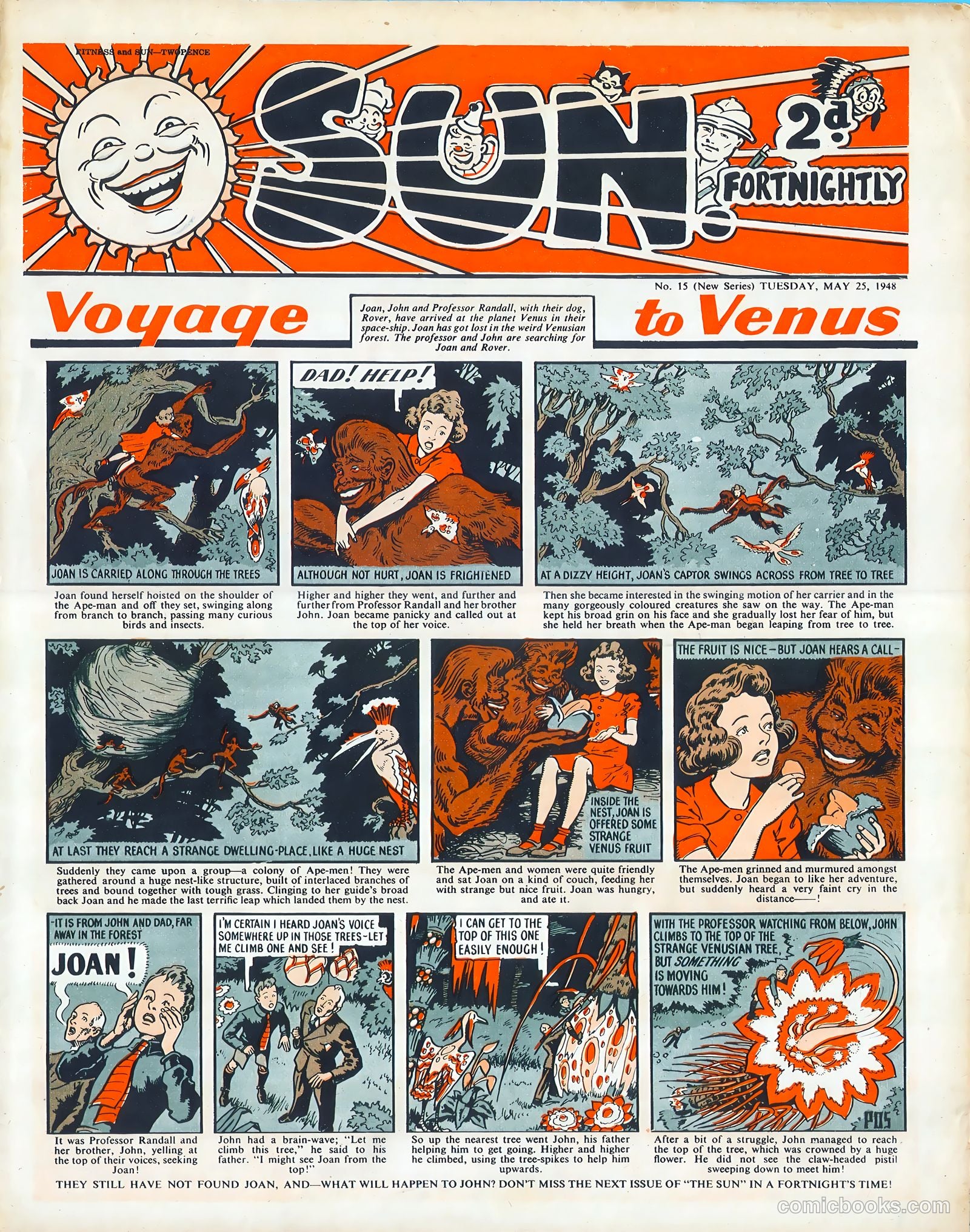 Sun #15