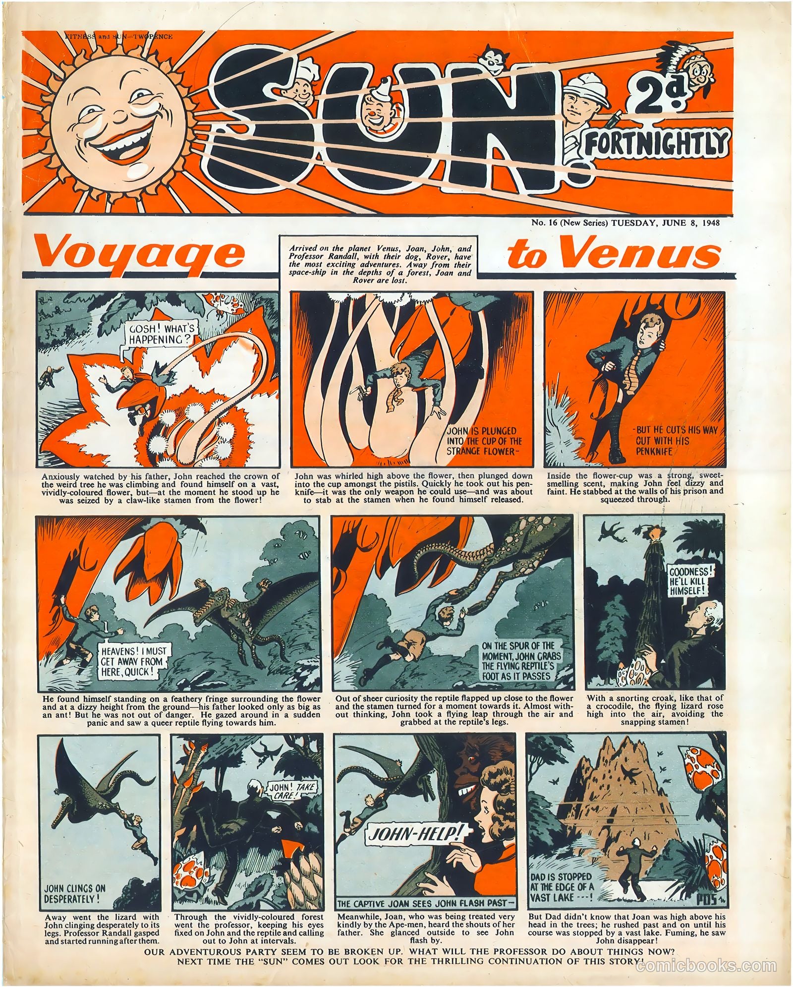 Sun #16