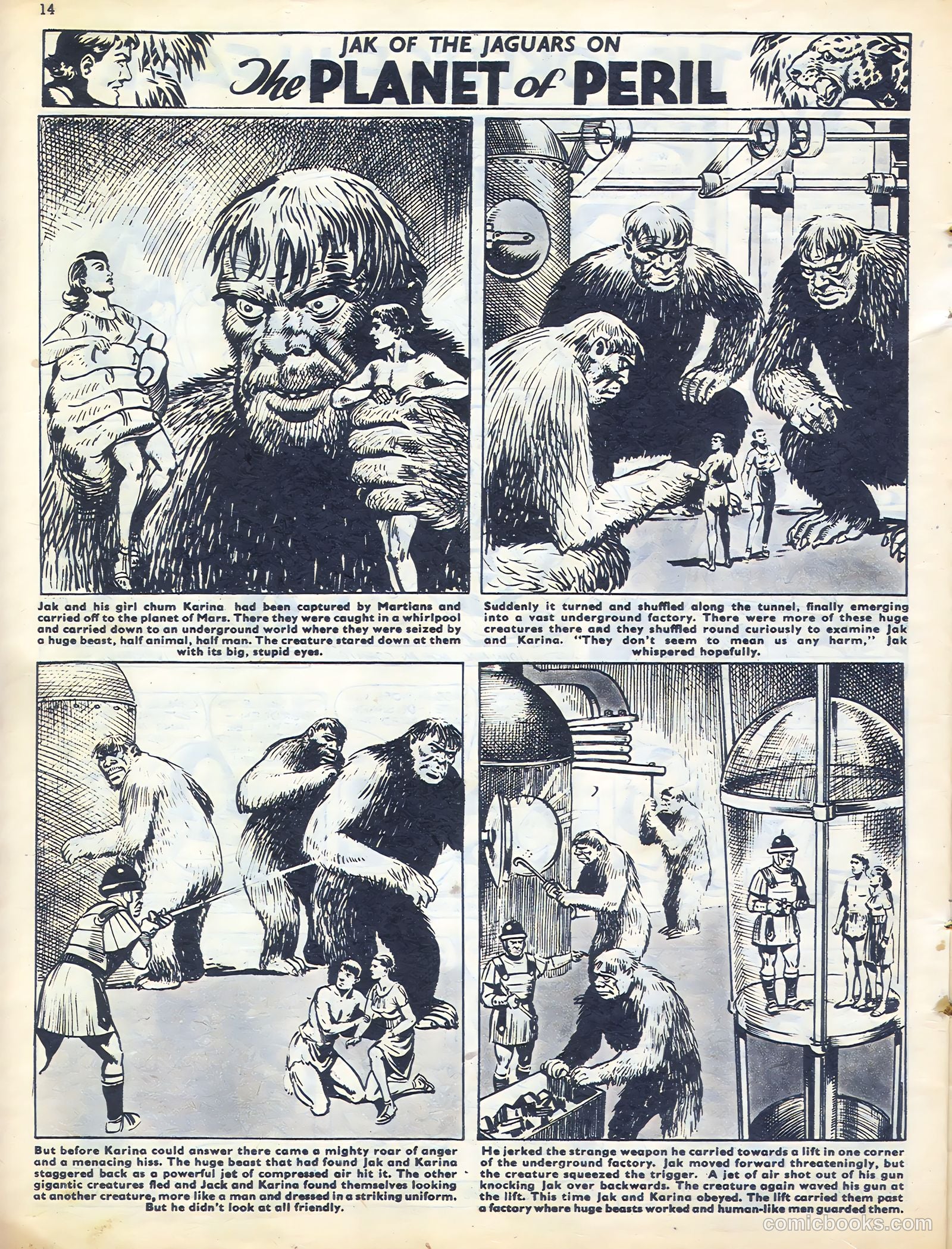 Sun #187 (1982) — page 14 of 20