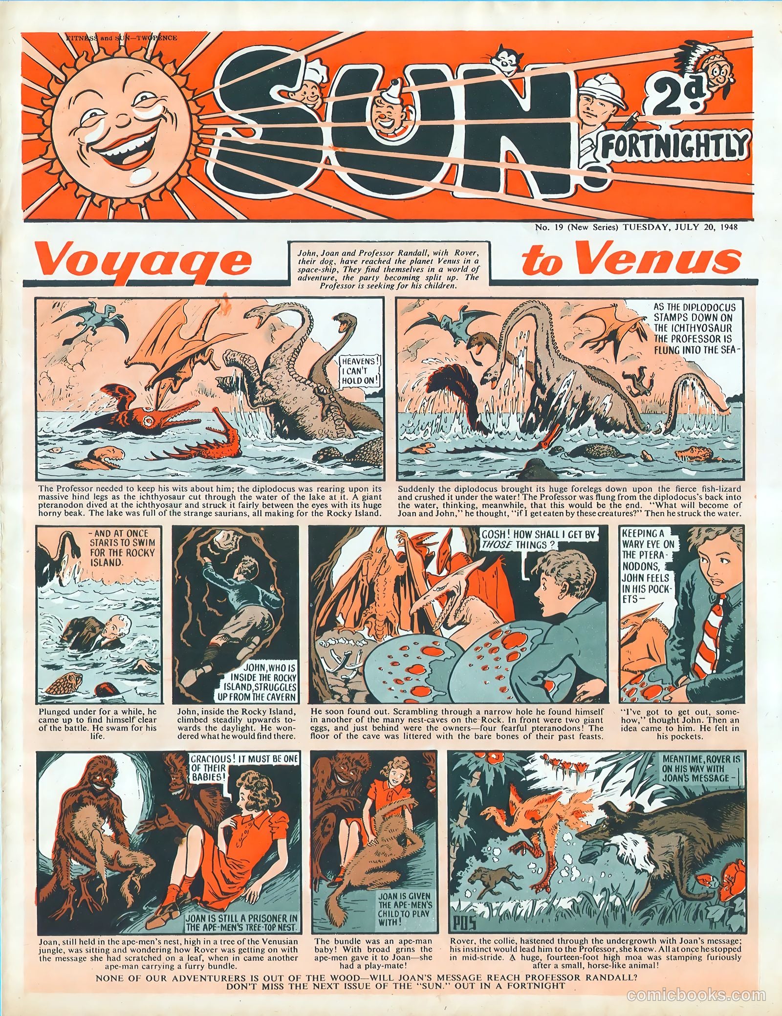 Sun #19