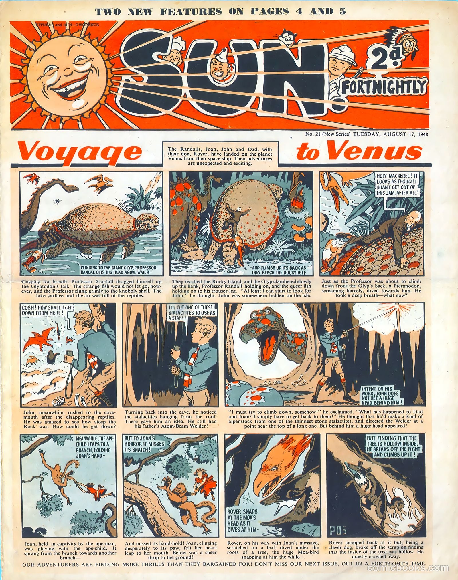 Sun #21