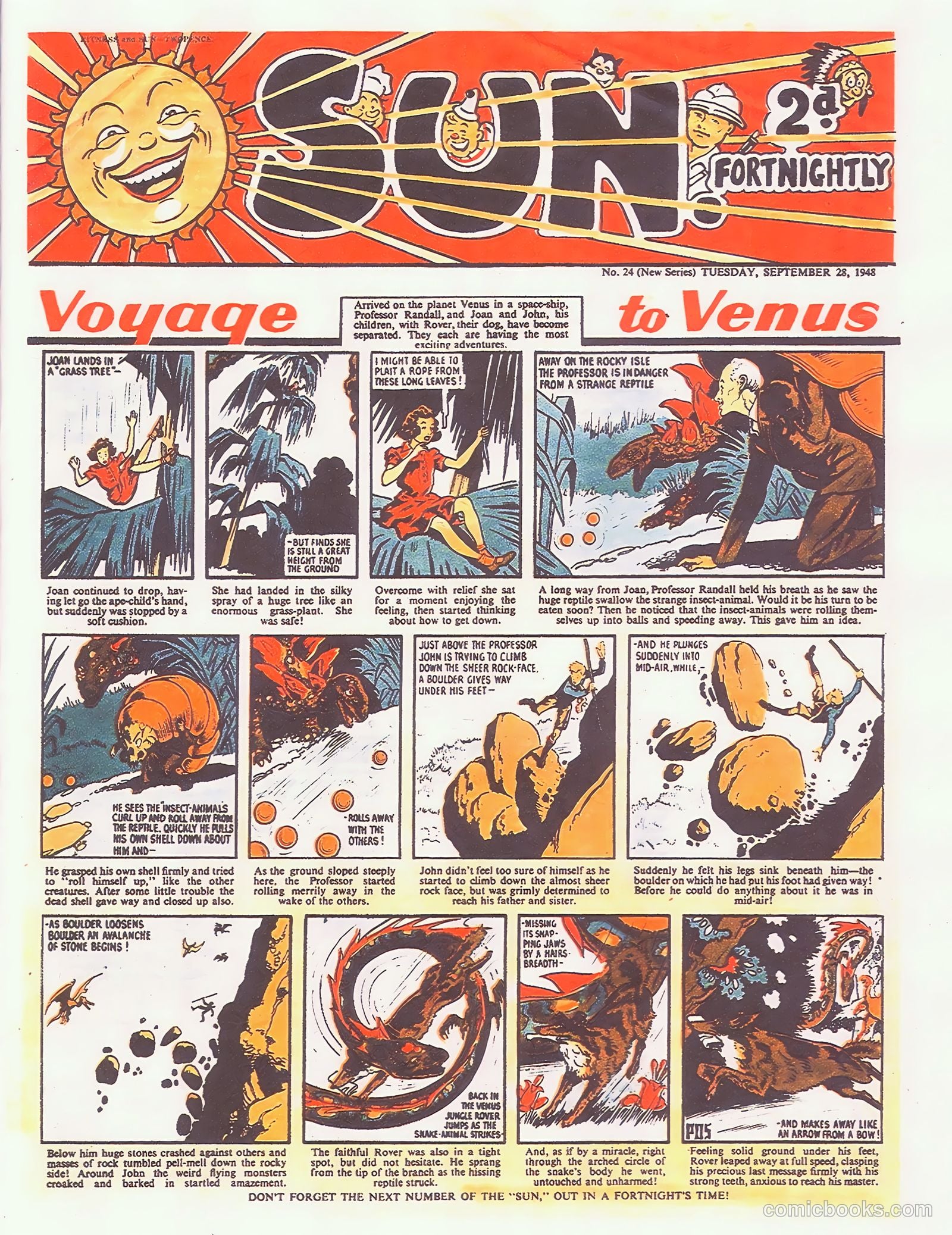 Sun #24