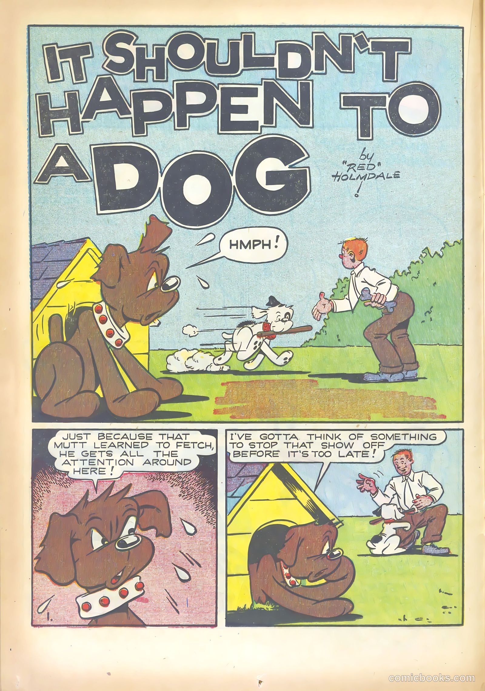 Super Duck Comics #21 (1948) — page 20 of 52