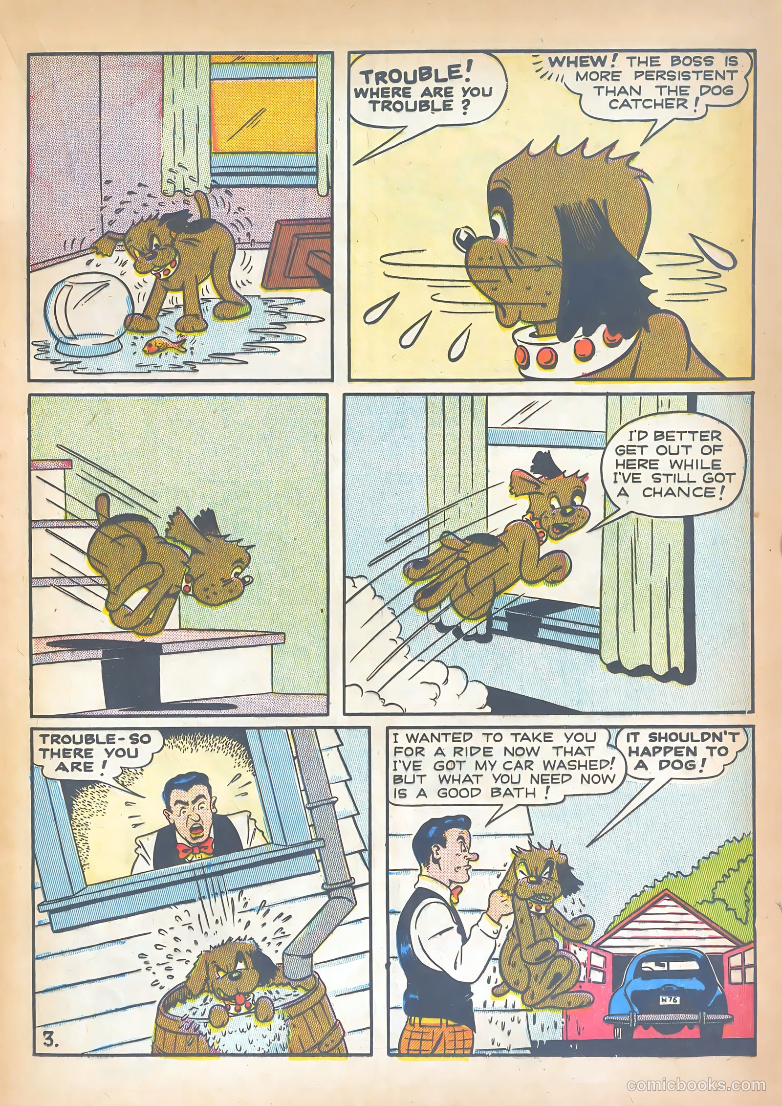 Super Duck Comics #22 (1948) — page 19 of 52