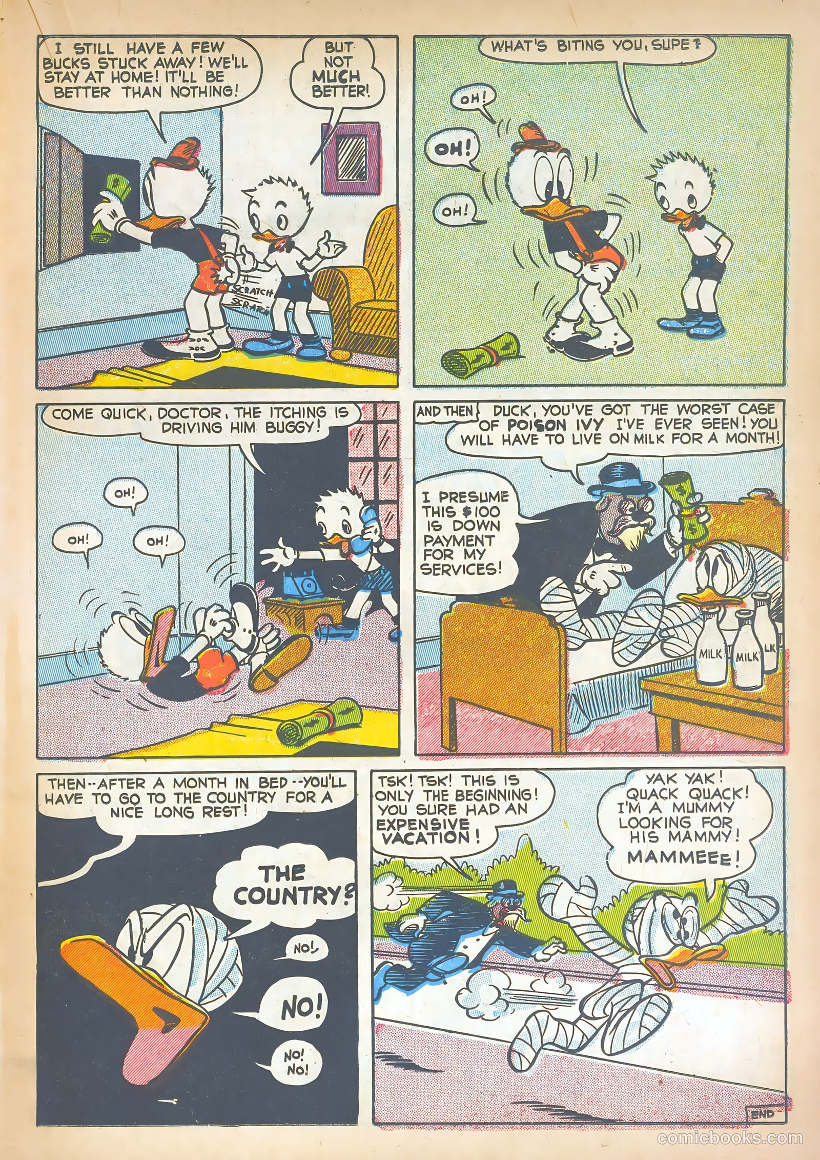 Super Duck Comics #22 (1948) — page 27 of 52