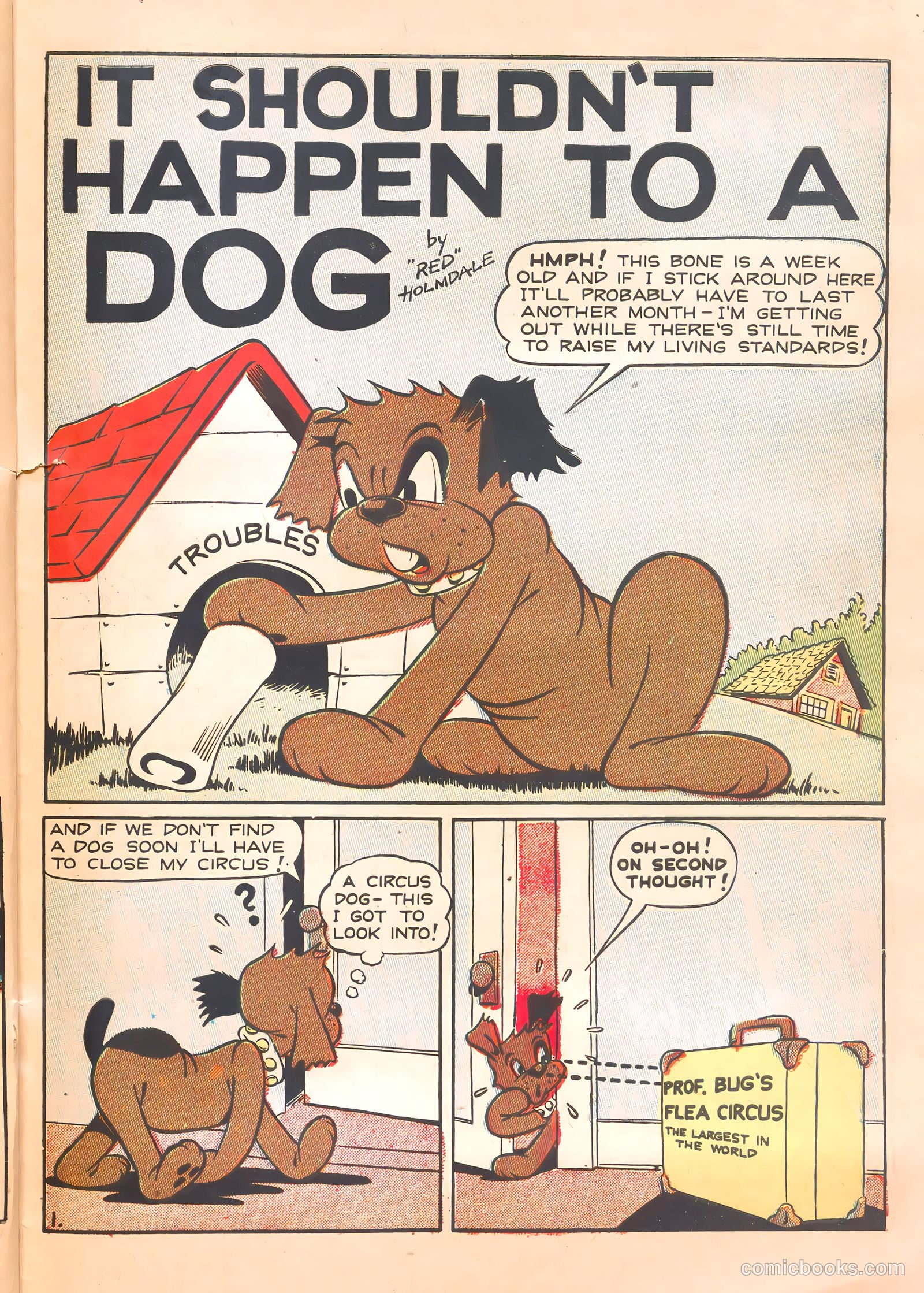 Super Duck Comics #23 (1948) — page 39 of 52