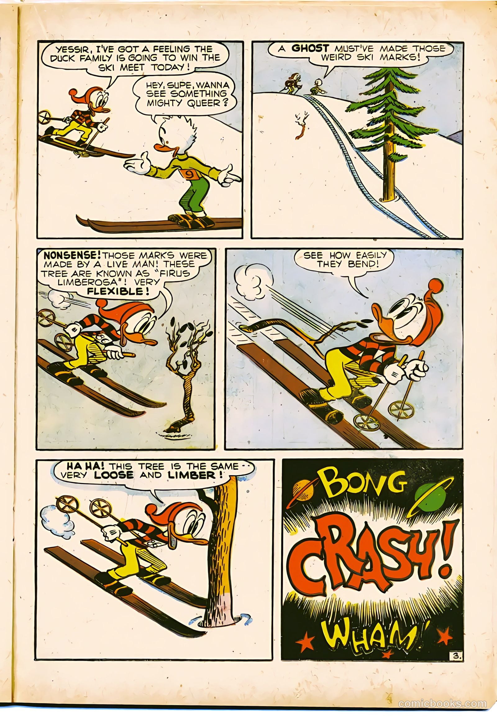 Super Duck Comics #25 (1949) — page 29 of 52