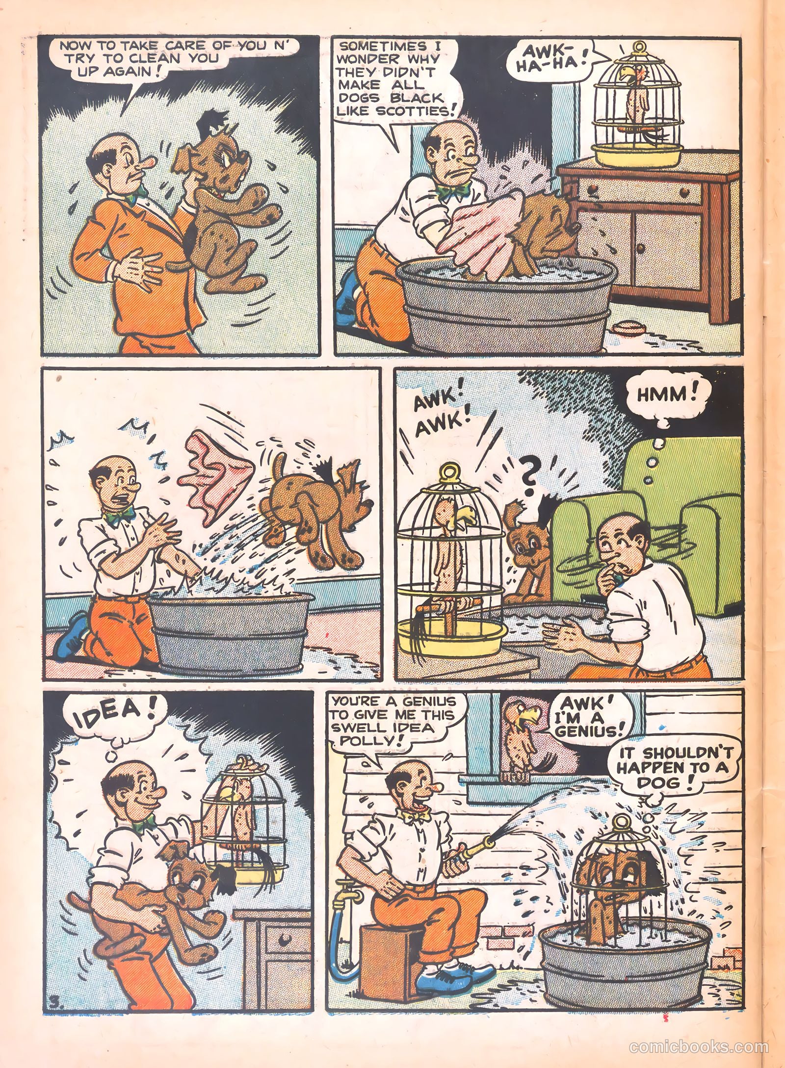 Super Duck Comics #27 (1949) — page 46 of 52