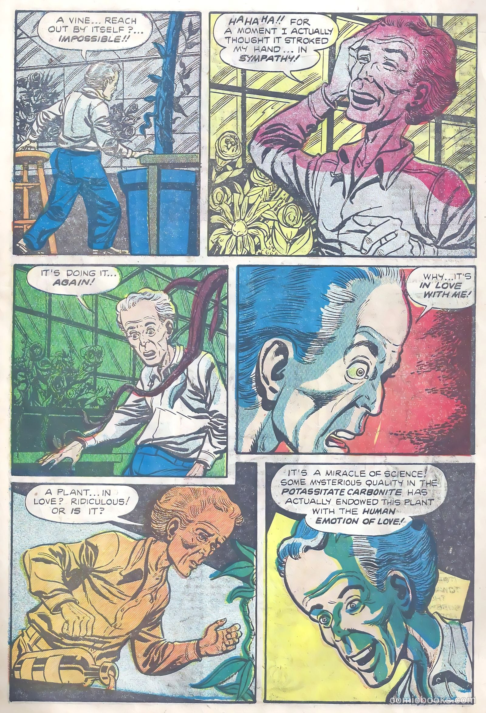 Tales of Horror #2 (1952) — page 29 of 36