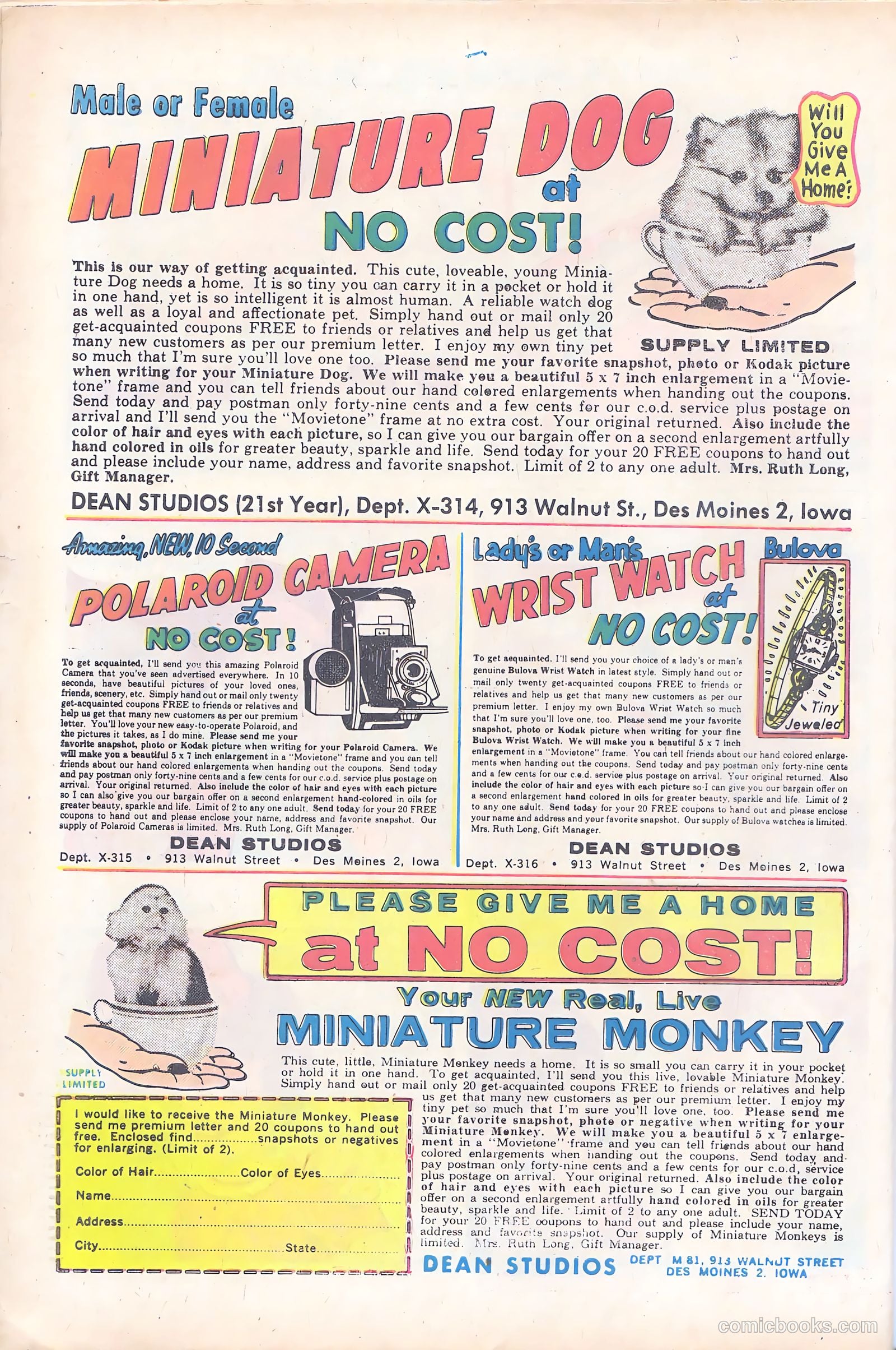 Teen-Age Confidential Confessions #10 (1962) — page 34 of 36