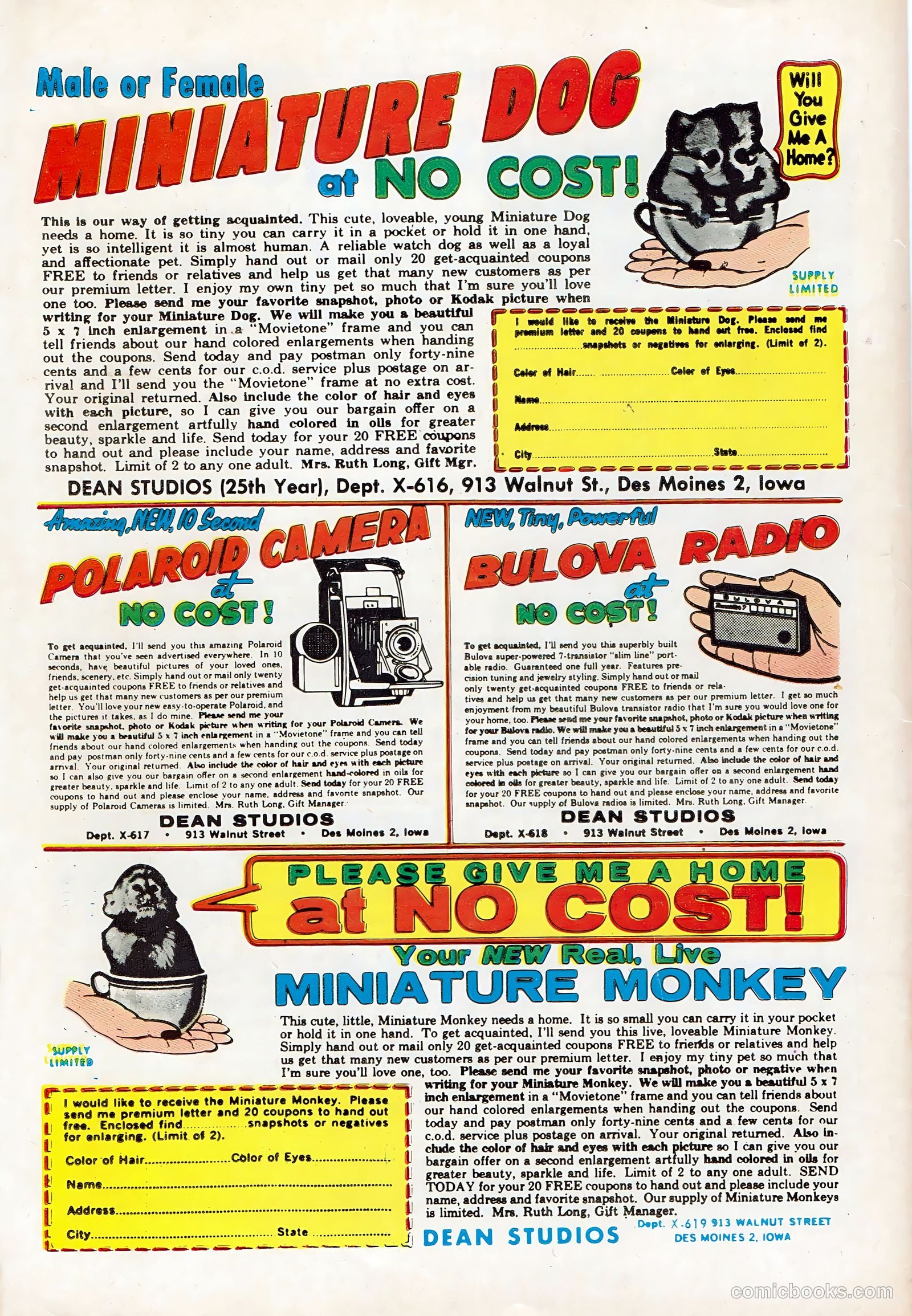 Teen-Age Confidential Confessions #19 (1963) — page 36 of 36