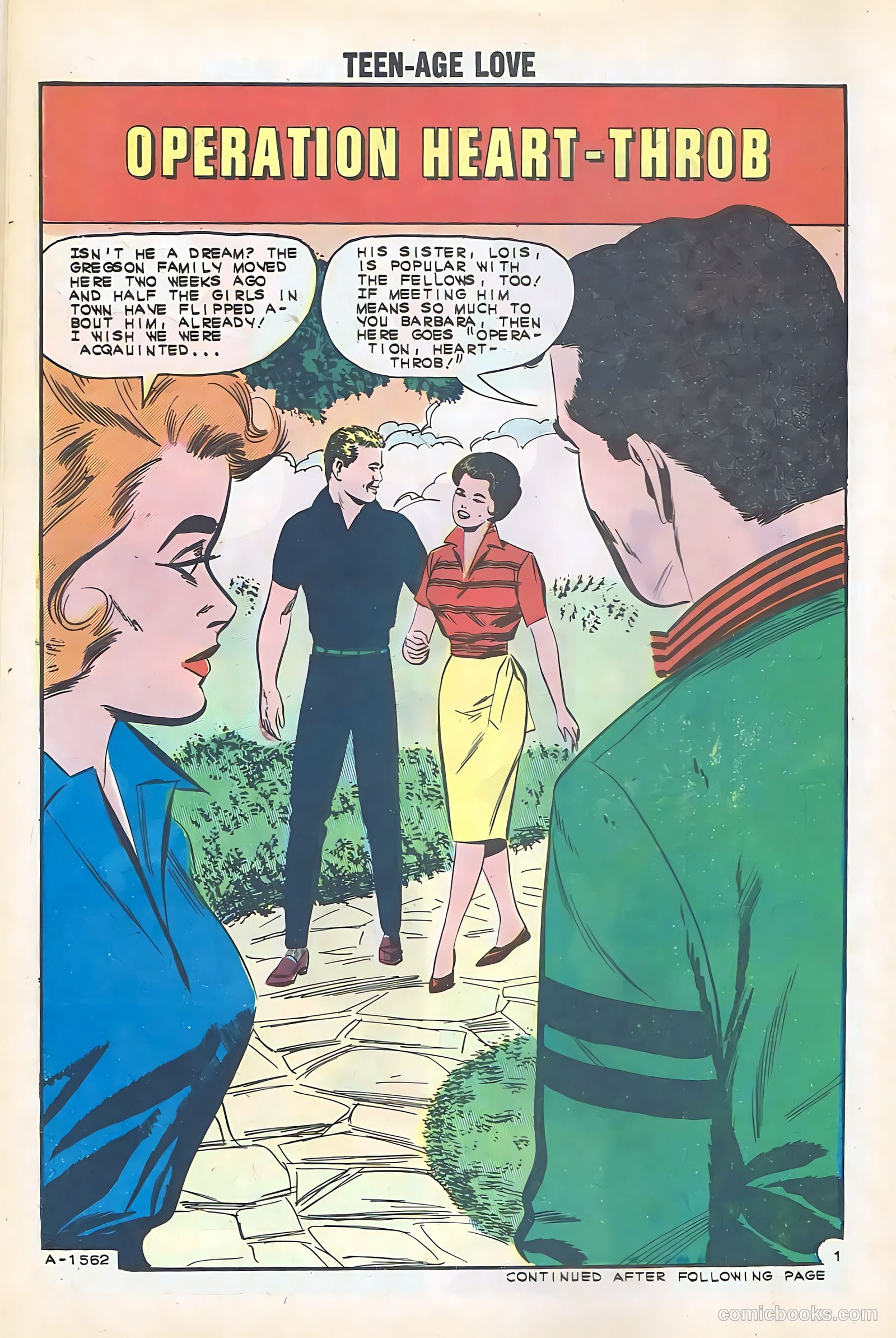 Teen-Age Love #28 (1962) — page 14 of 36