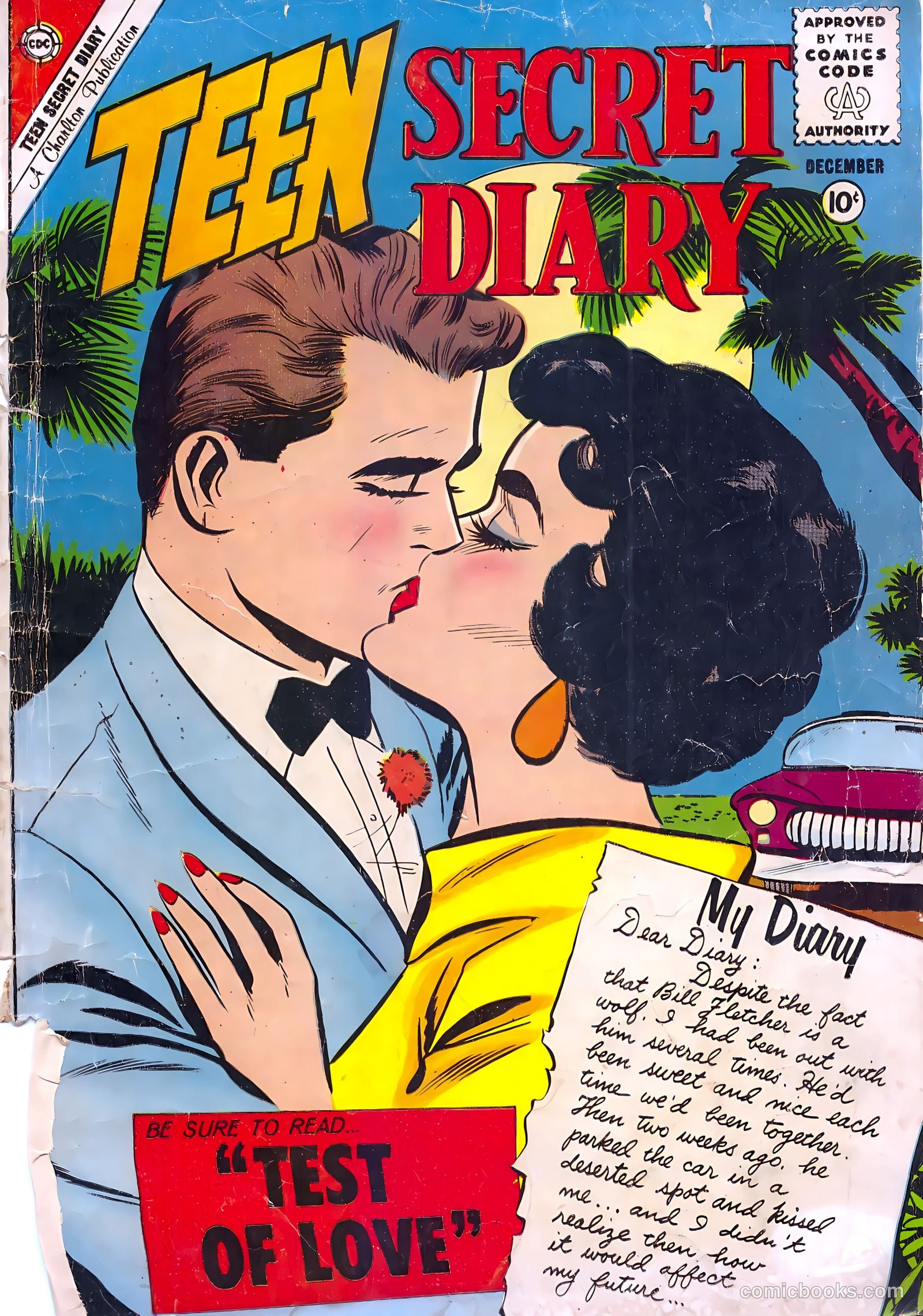 Teen Secret Diary #8