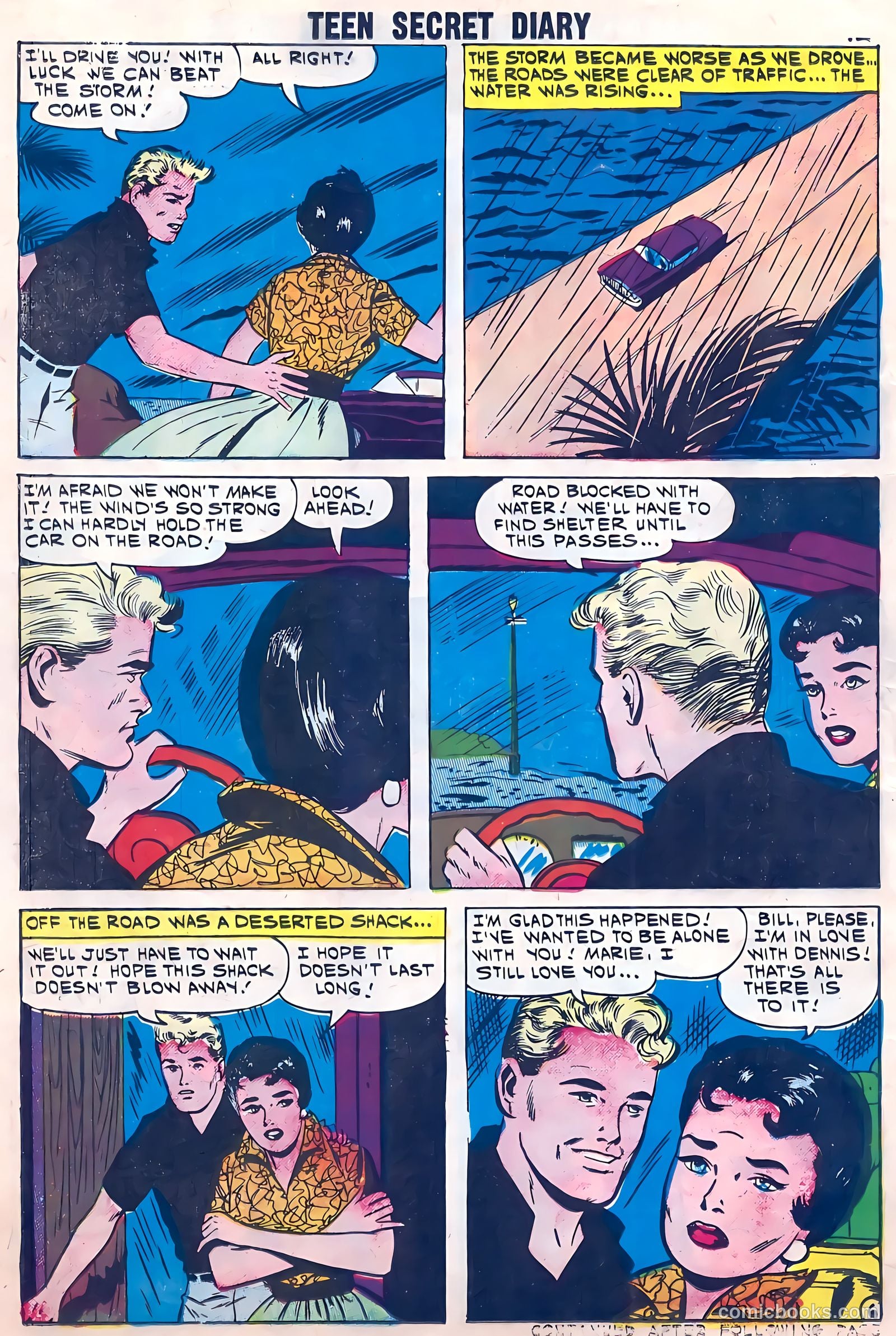 Teen Secret Diary #8 (1960) — page 14 of 36